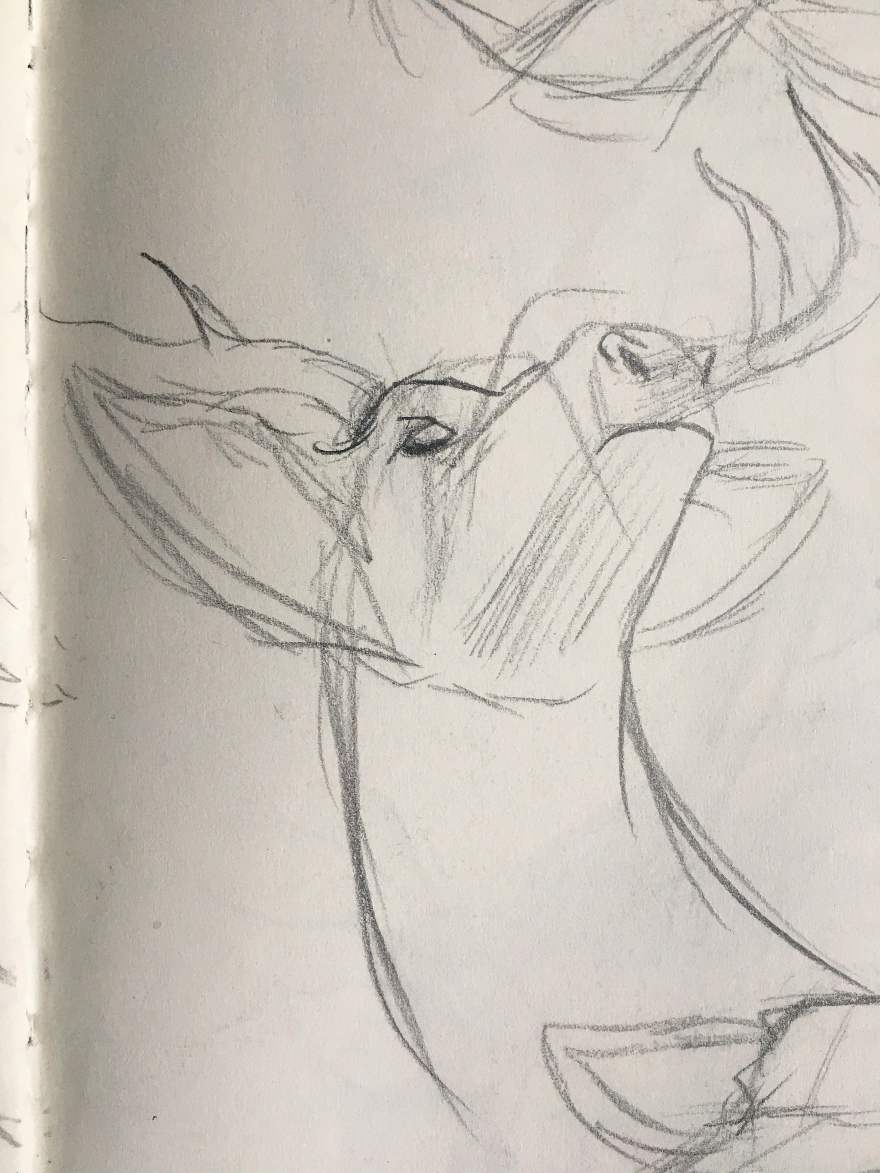 Deer god; Natural History museum study.