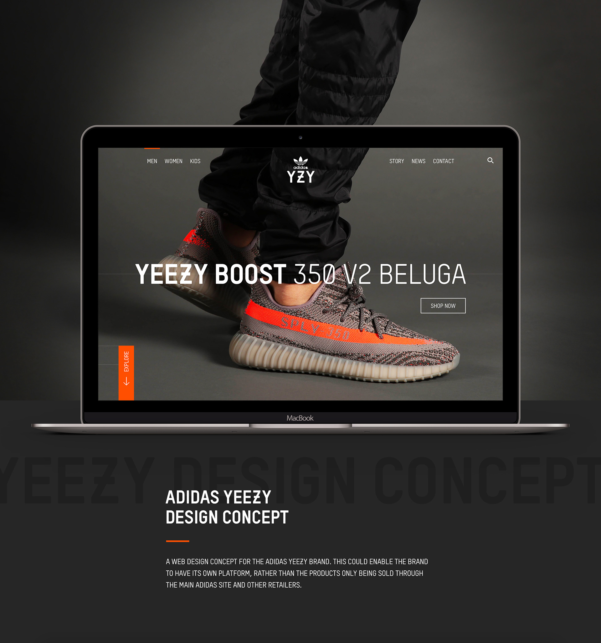 Alex Davies Adidas Yeezy Boost Website Design
