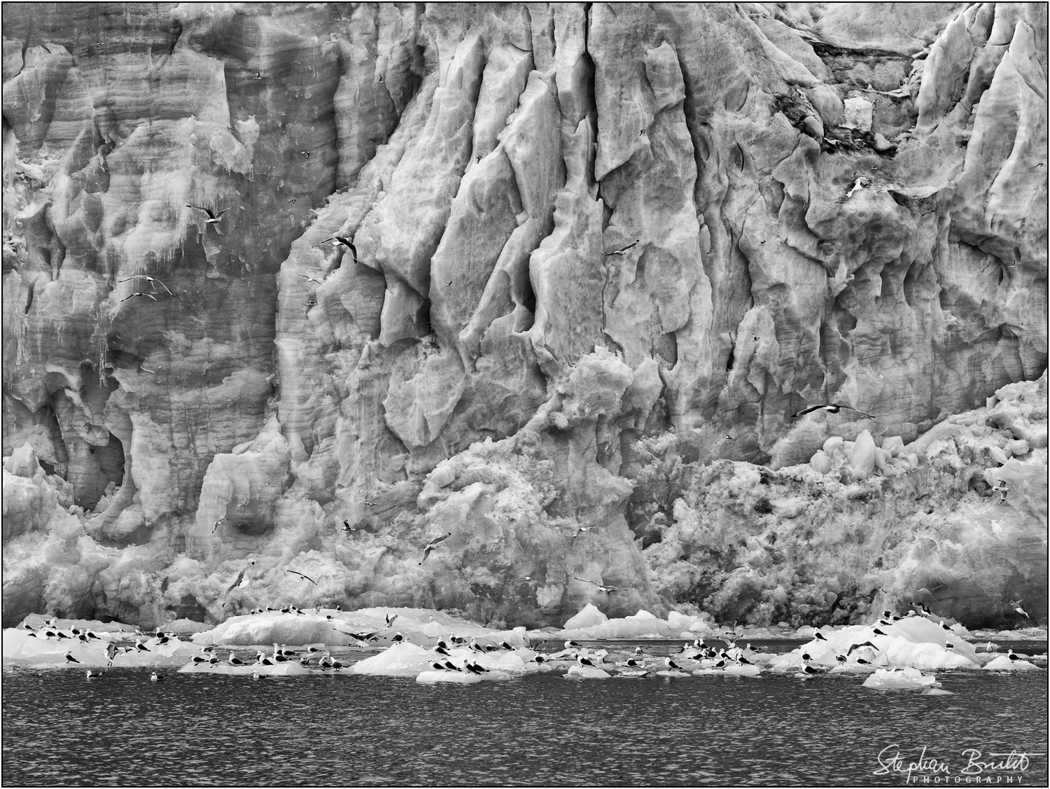 Monacobreen / Liefdefjord