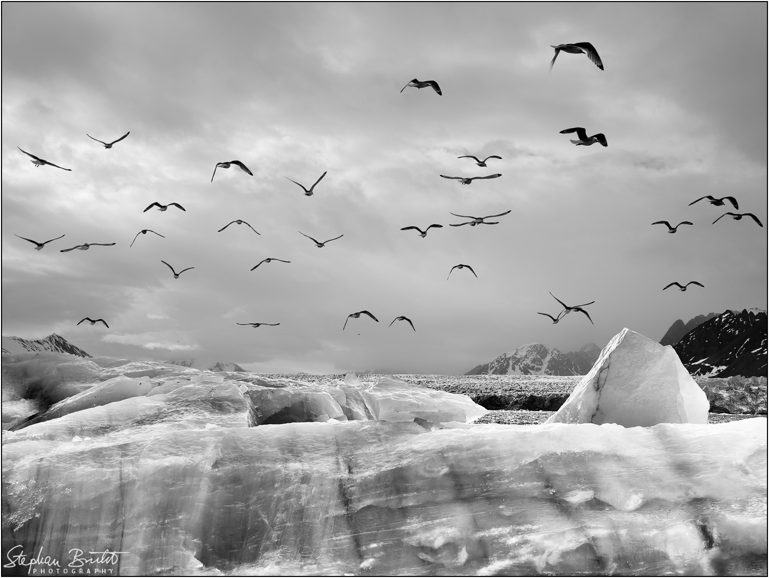 Monacobreen / Liefdefjord