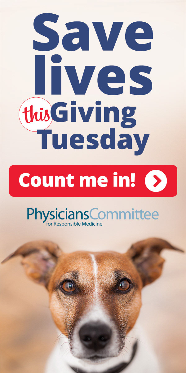 Campaign: Giving Tuesday