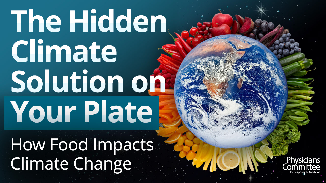 Climate Change Video