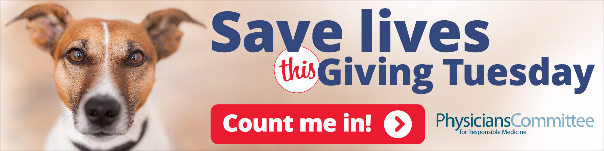 Campaign: Giving Tuesday