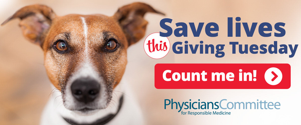 Campaign: Giving Tuesday