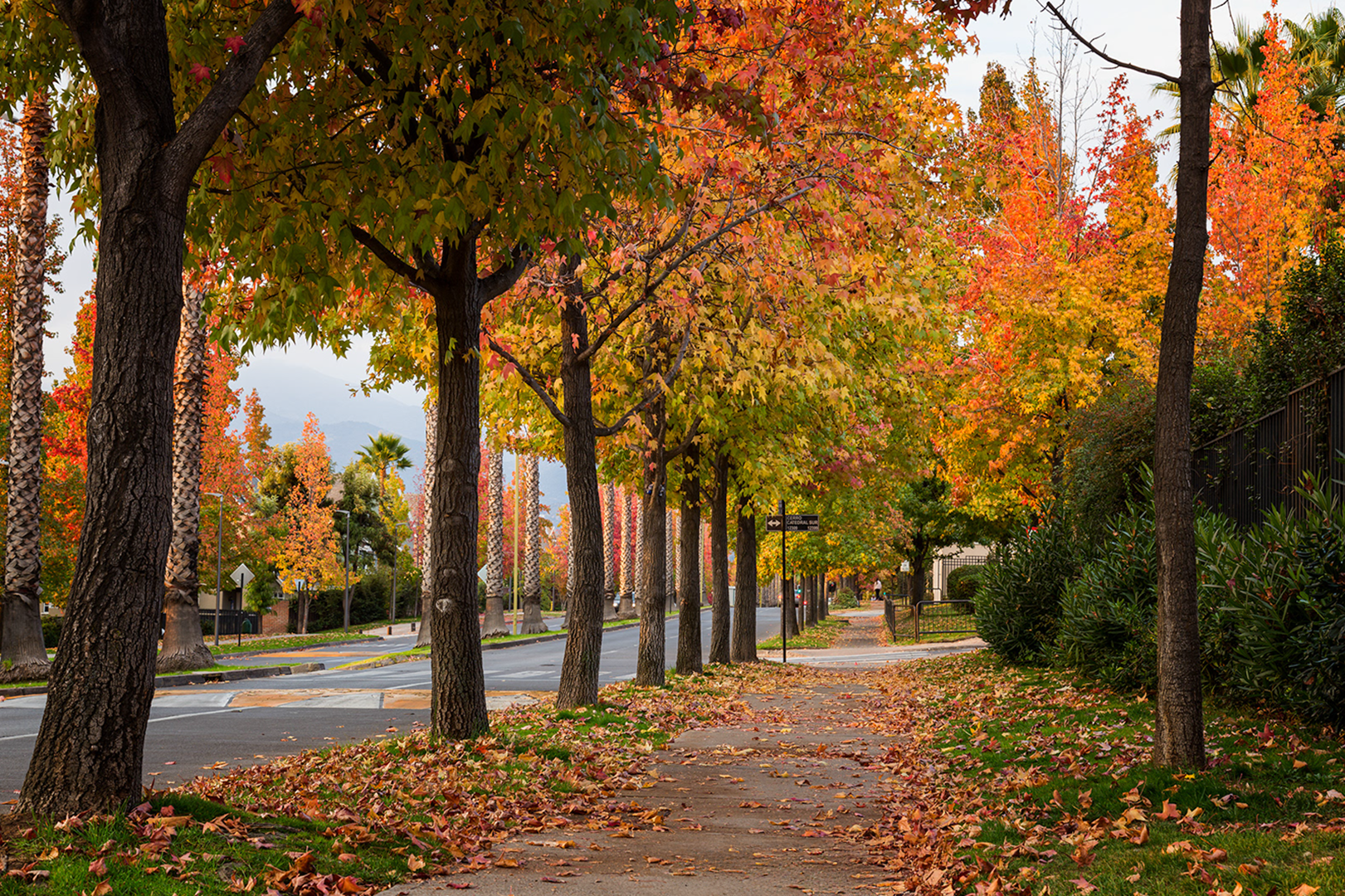 Otoño