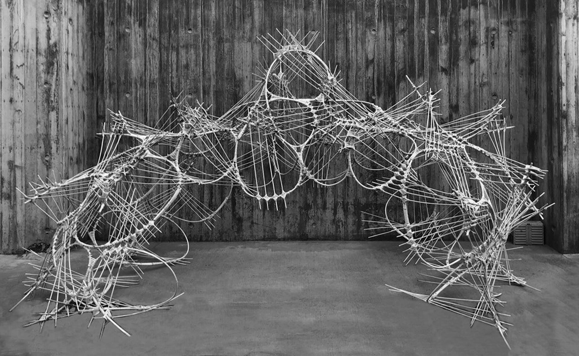 Basic Design Final Project | Deniz Karabacak, Dilara Ateş, Erlin Boztaş, Hazar Abdik, Kardelen Kurt, Kemal Gürcüoğlu, Selina Şişik