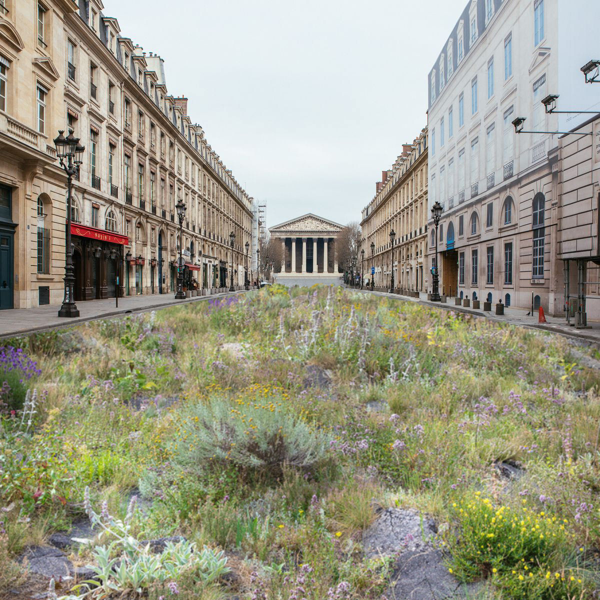 The evolution of rue Royale’s de-asphalting