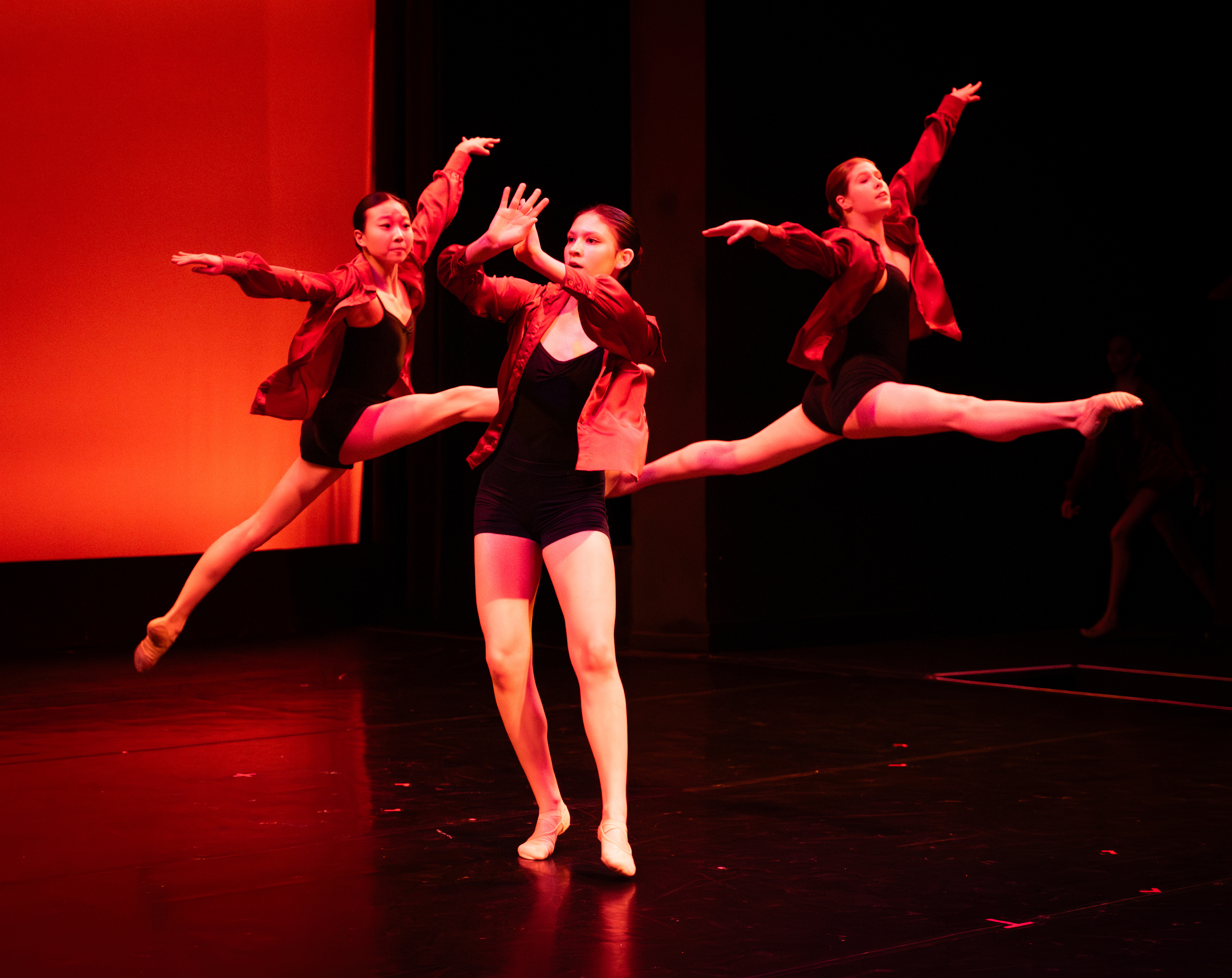 Heart and Soul, Ballet Virginia, 2025