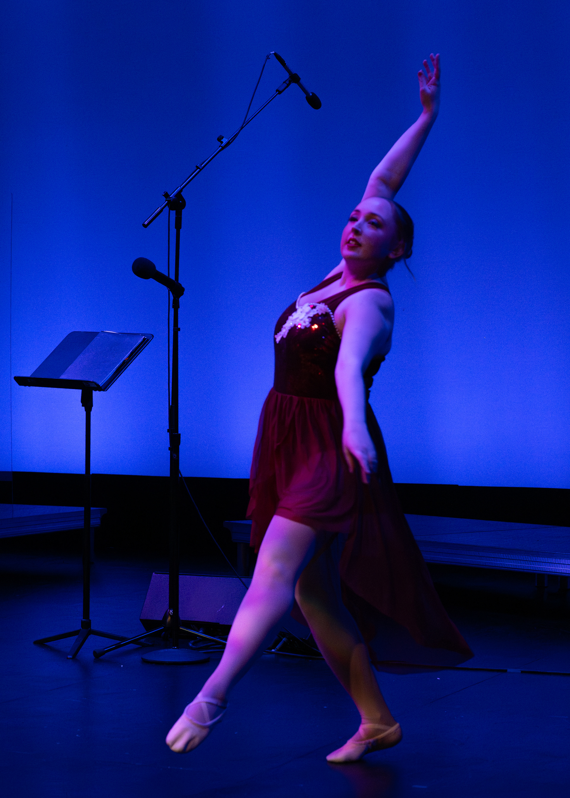 Holidivas, The Z, 2023