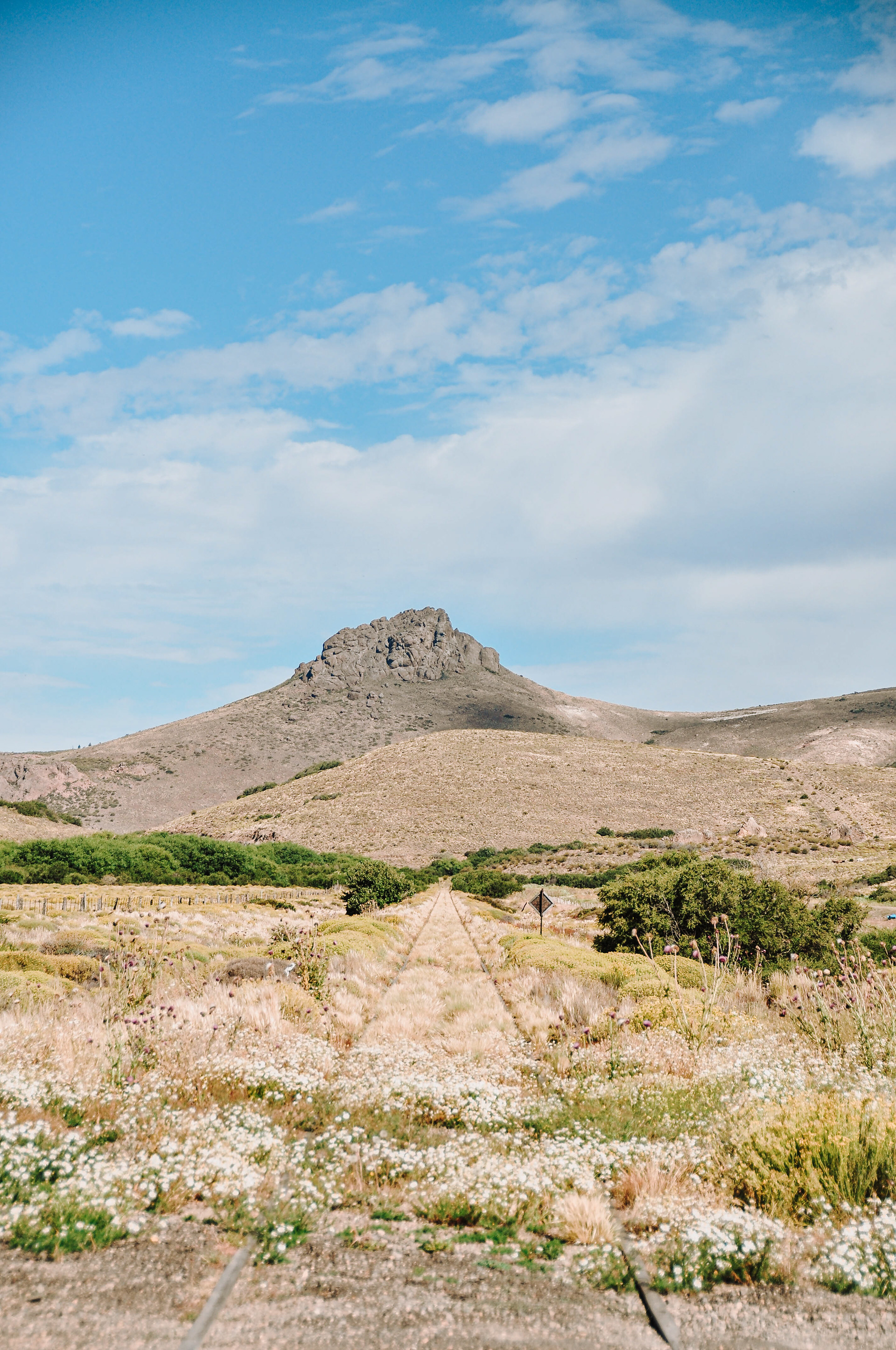 Ruta 23, Río Negro