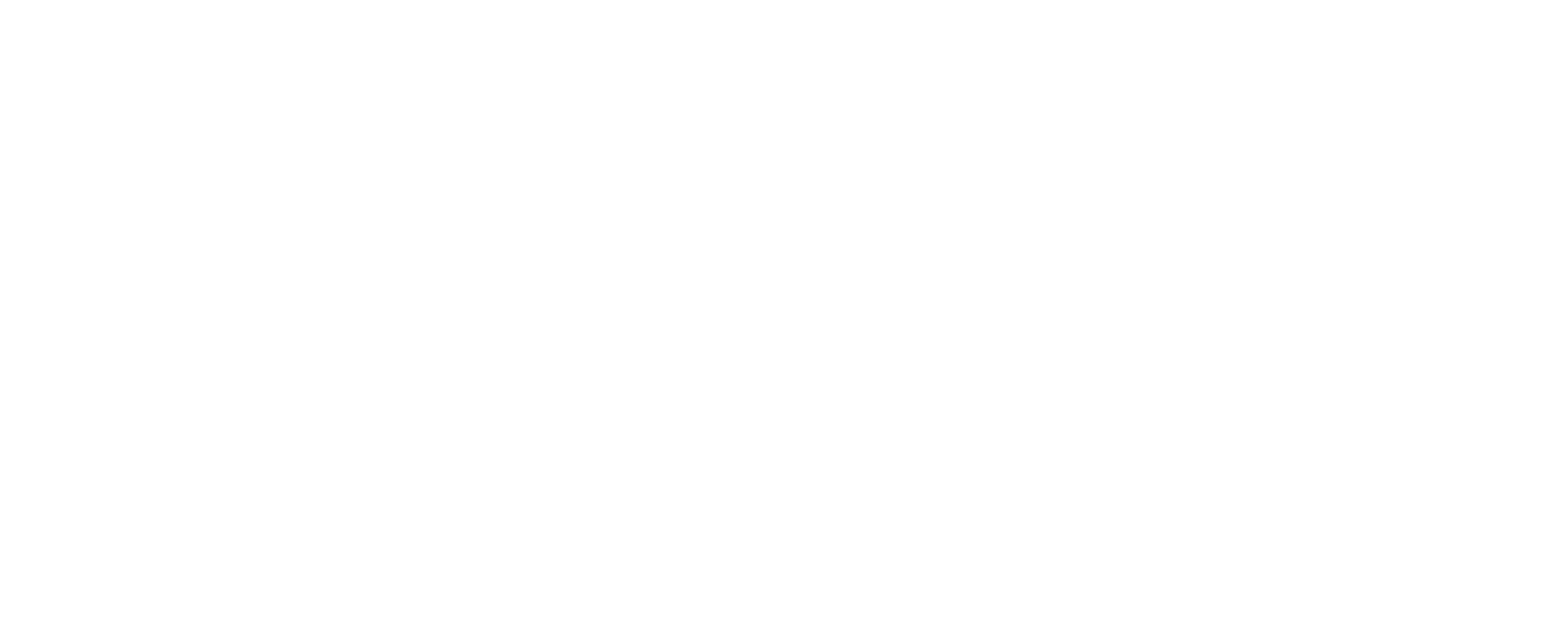 nevo rotem