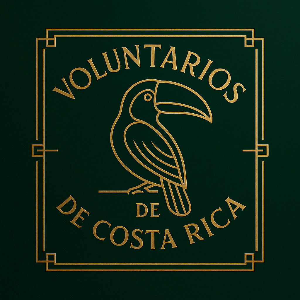 VOLUNTARIOS LOS BUEYES