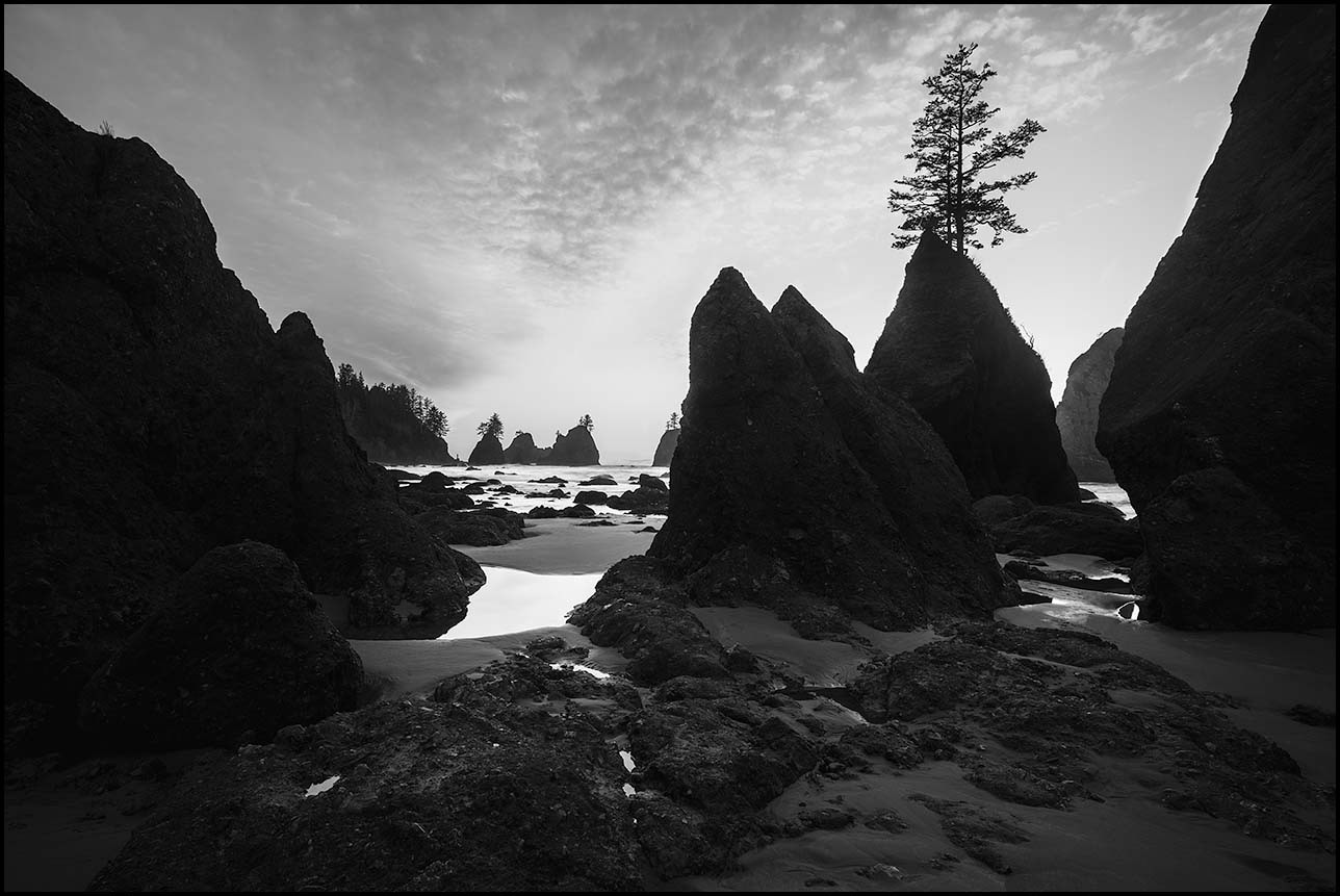 Ruby Beach (Feb 20, 2017)