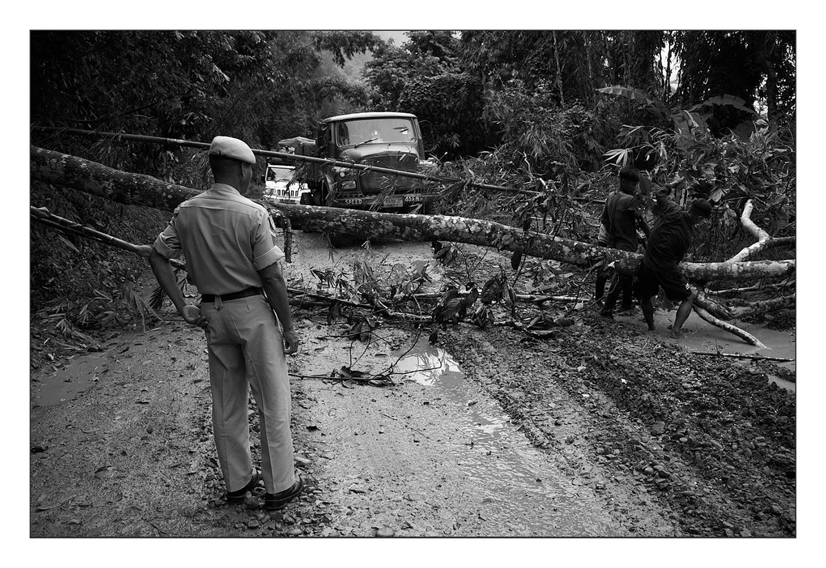 Men clearing a fallen tree
