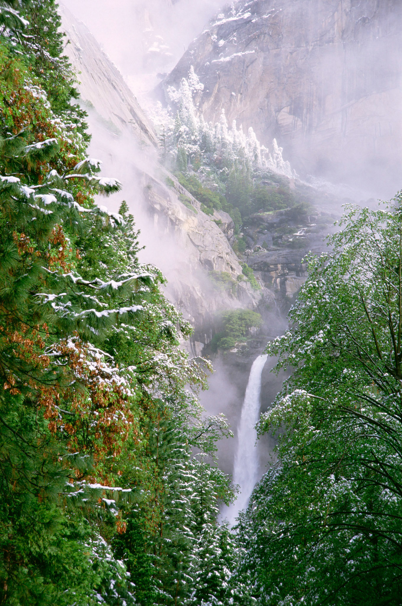The previous day had been sunny and very warm. Overnight a storm blew in and covered everything with a blanket of snow. There were so many photographers in this area that I was looking for a different composition without any people. The photograph won an honourable mention in the Nikon Photo Contest International.