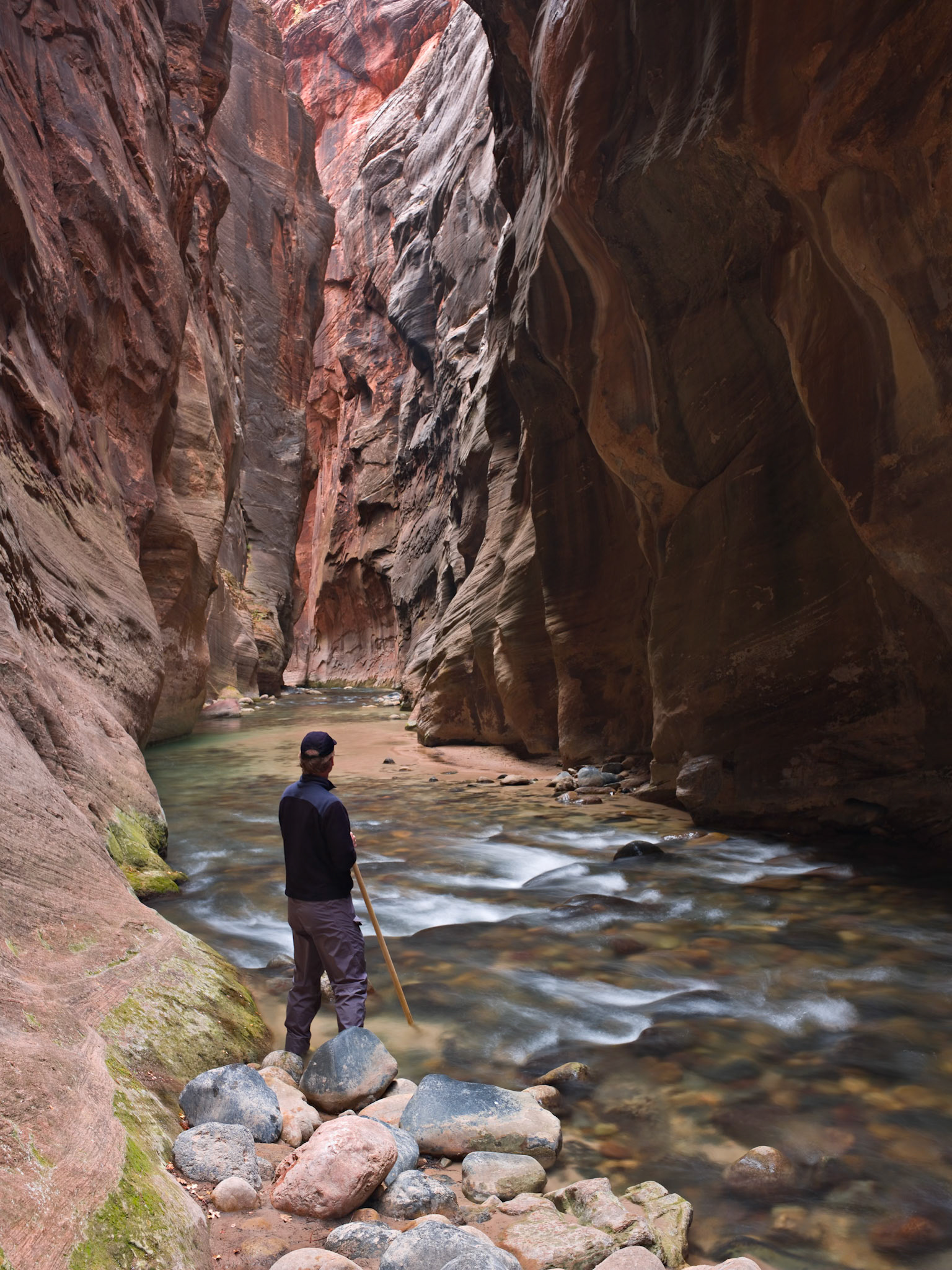 This photograph was taken in the Wall Street section of the Virgin River Narrows.