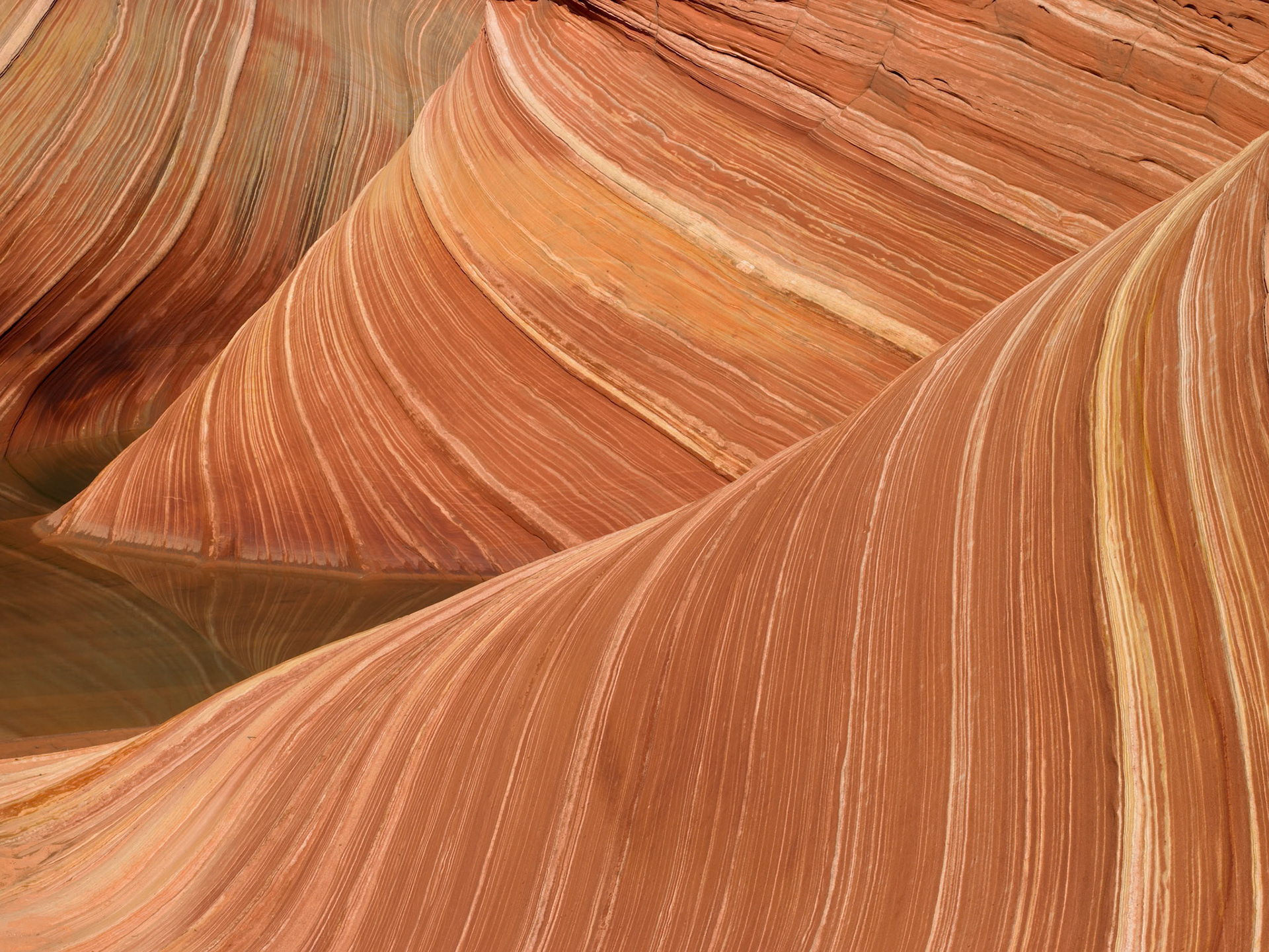 When Erin was two years old I asked her what I should call this photograph. She said "Swirly" so the name stuck!