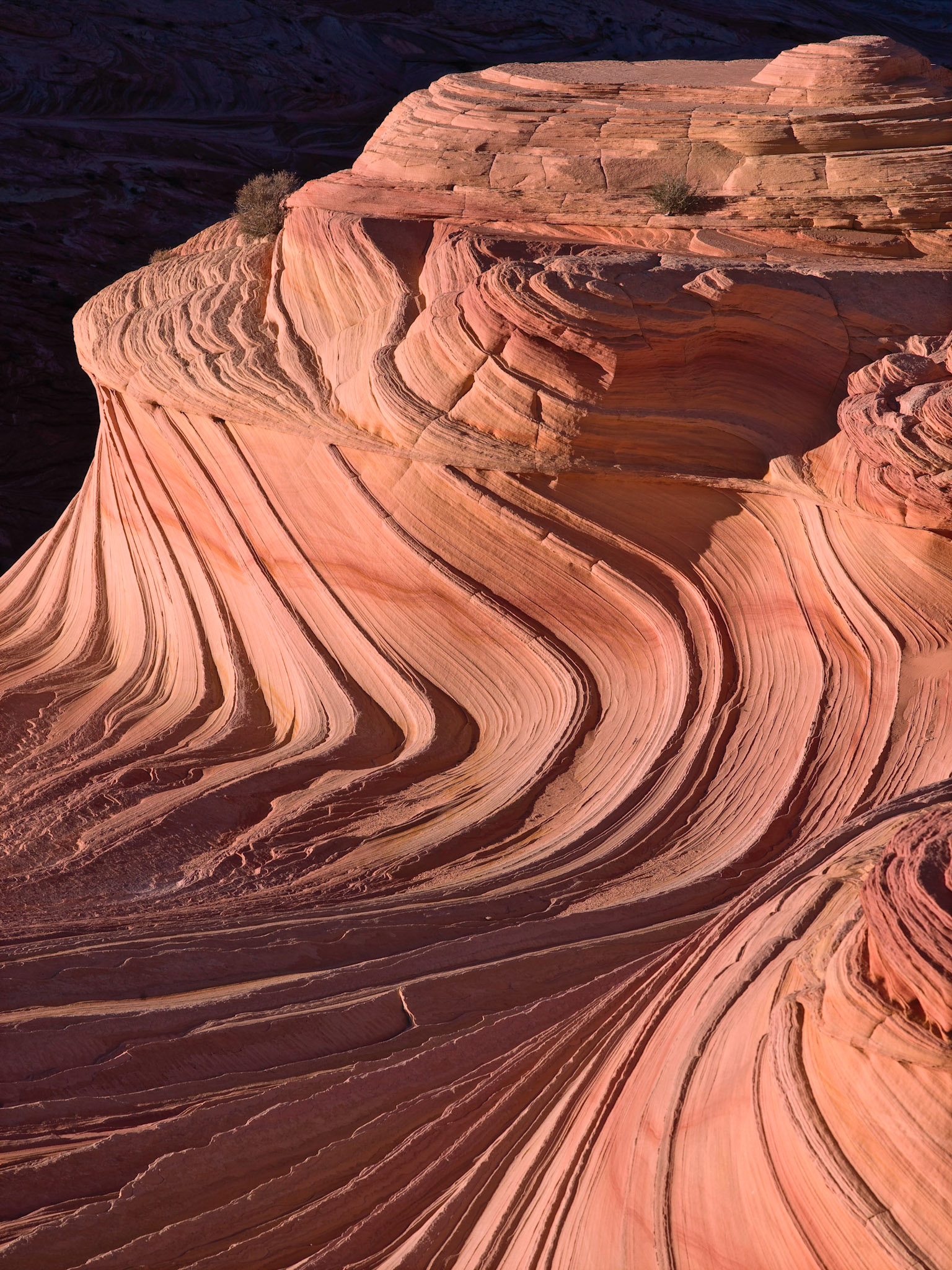 The upper section of “The Wave” catches late afternoon light before the sun disappears behind a ridge. The result is this beautiful warm light and dramatic shadows.
