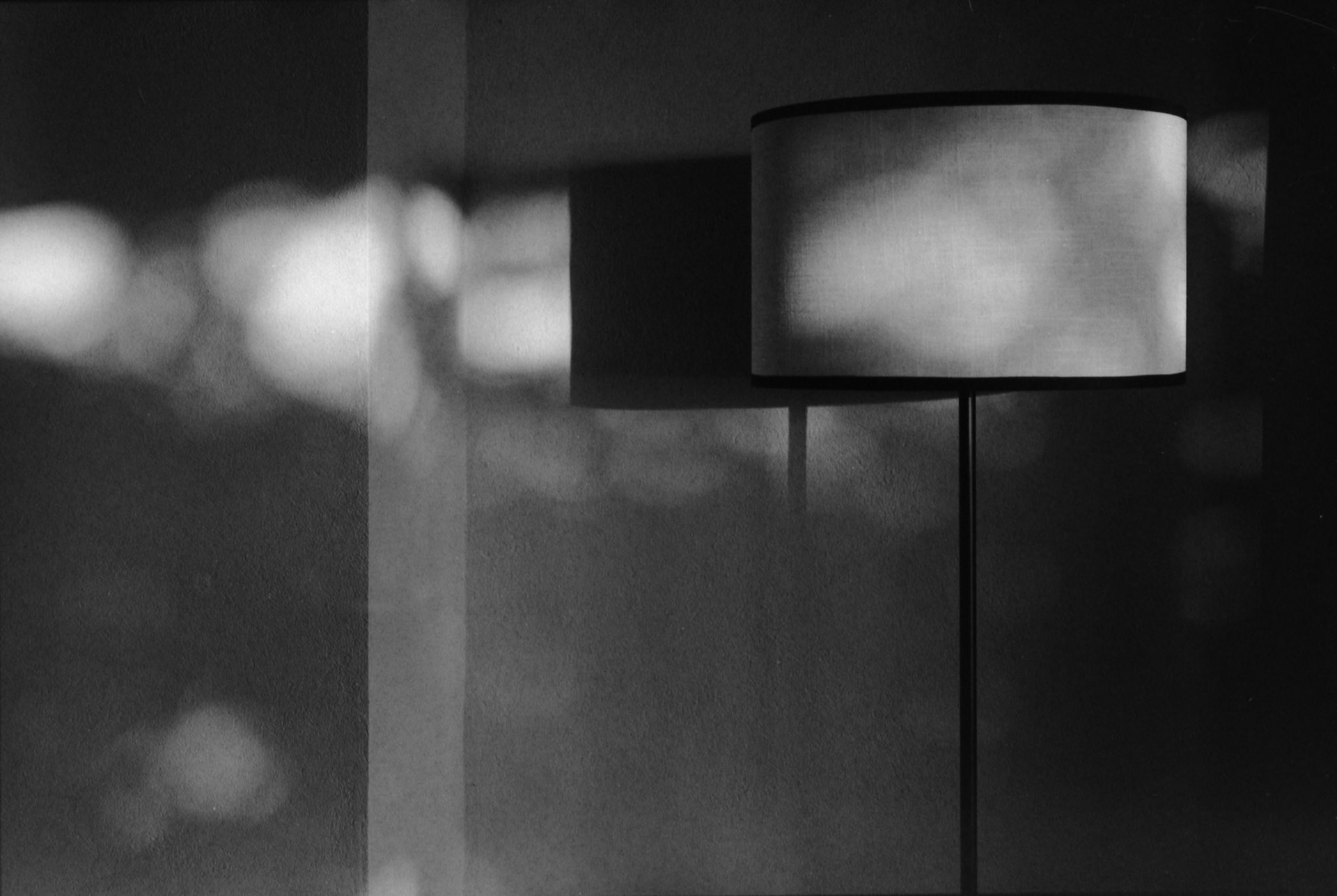 Negative Lab Pro v3.1.1 | Color Model: B+W | Pre-Sat: 3 | Tone Profile: Cinematic - Rich | WB: None | LUT: Frontier