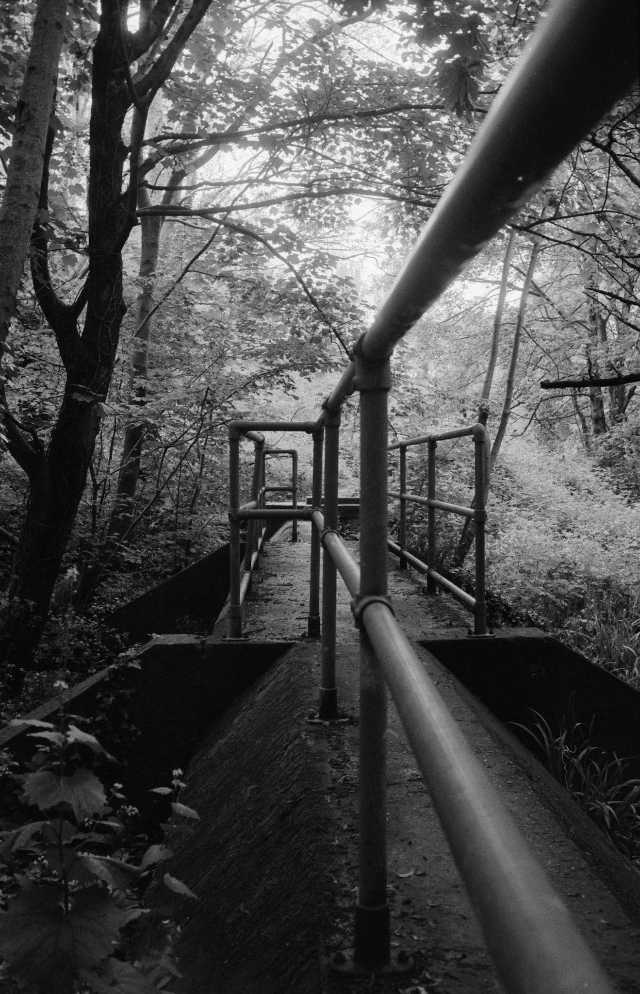 Negative Lab Pro v3.1.1 | Color Model: B+W | Pre-Sat: 3 | Tone Profile: Linear + Gamma | WB: None | LUT: Frontier