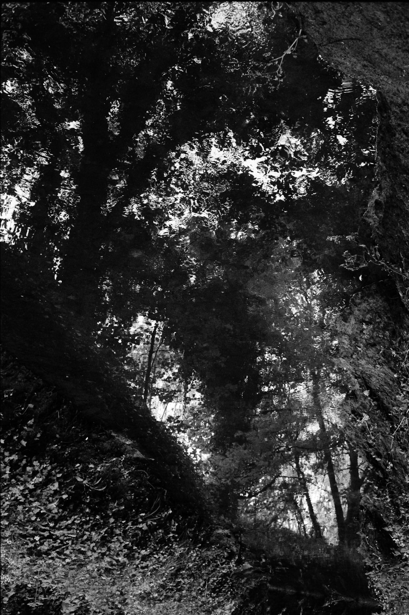 Negative Lab Pro v3.1.1 | Color Model: B+W | Pre-Sat: 3 | Tone Profile: Linear + Gamma | WB: None | LUT: Frontier