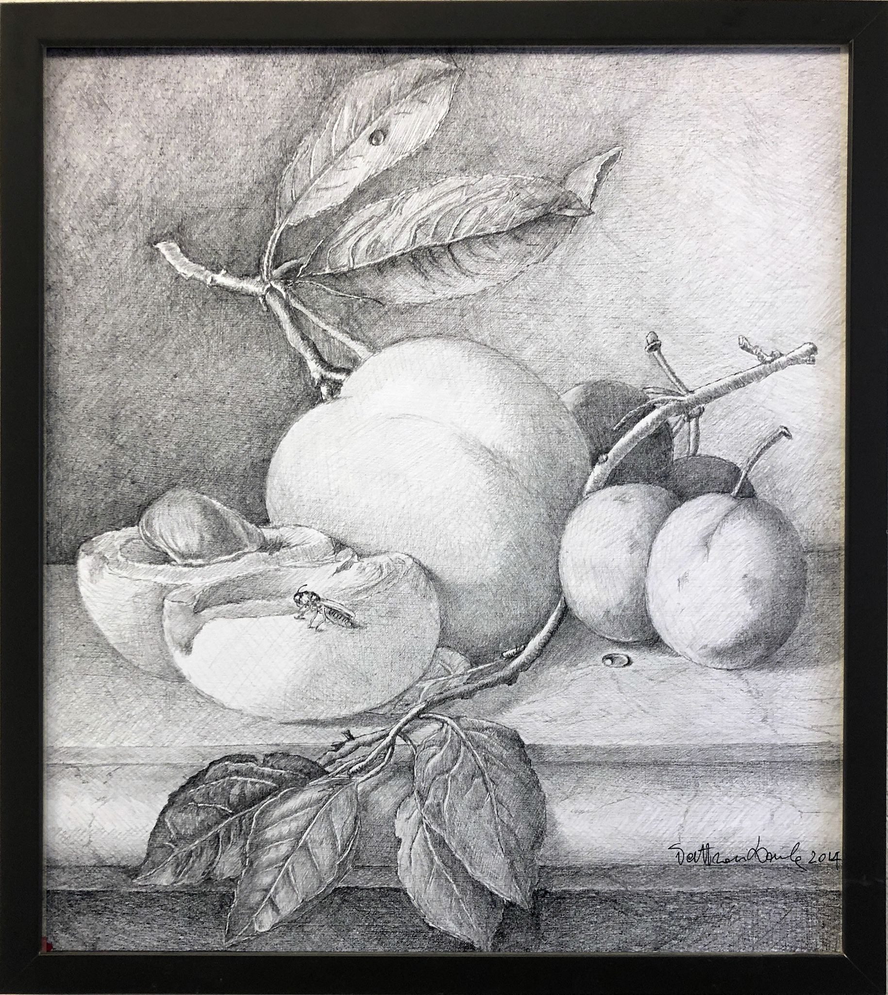 Tratteggio incrociato still life grafite su tela 40 x 50 cm NON DISPONIBILE