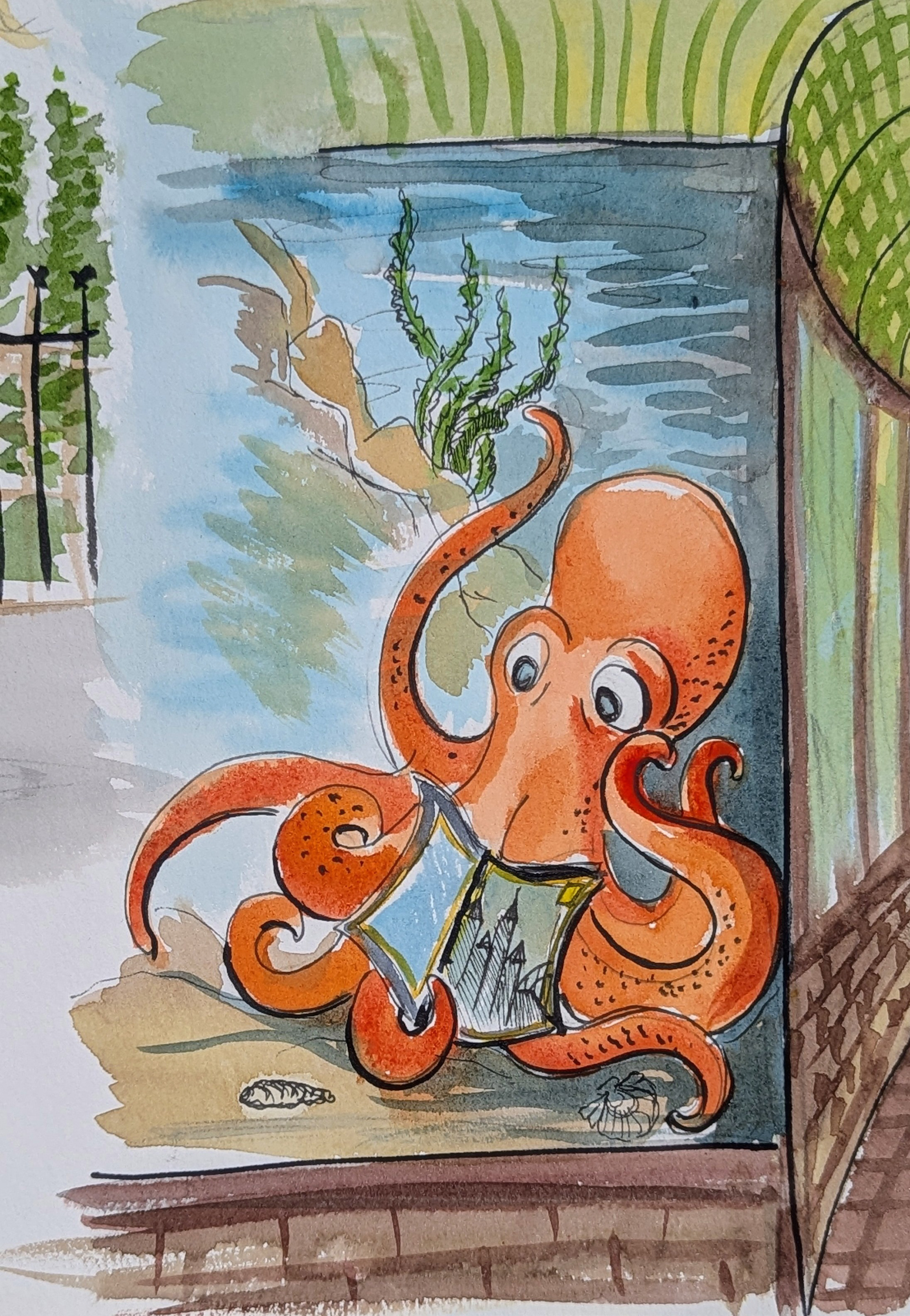 Octopus.2