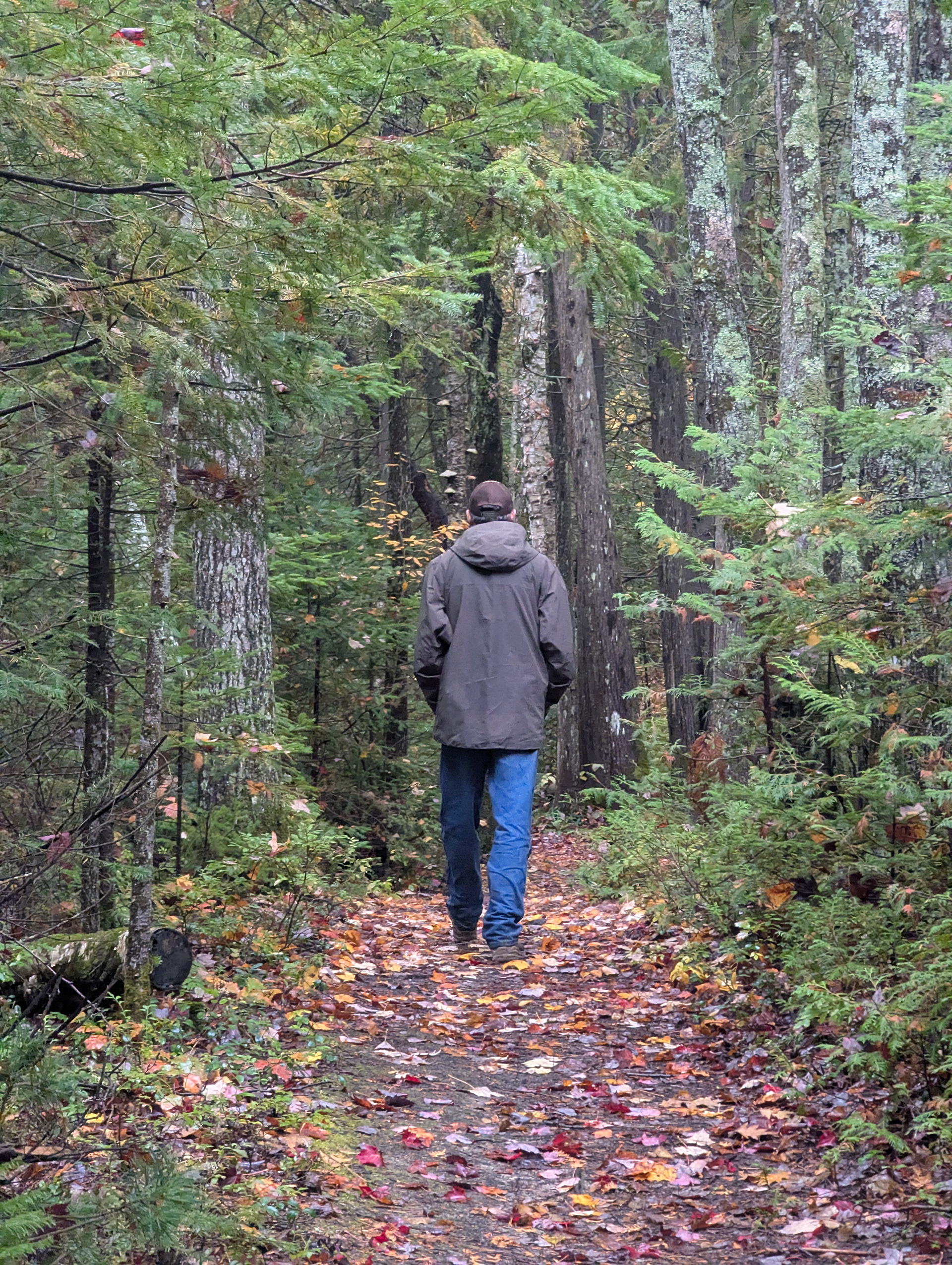 Same path, Different Season