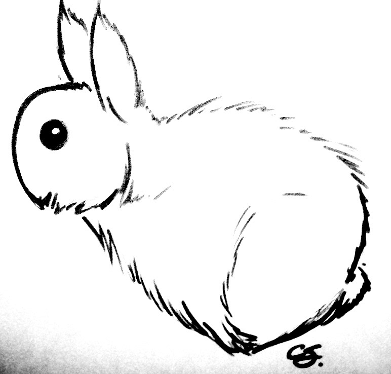 Widget