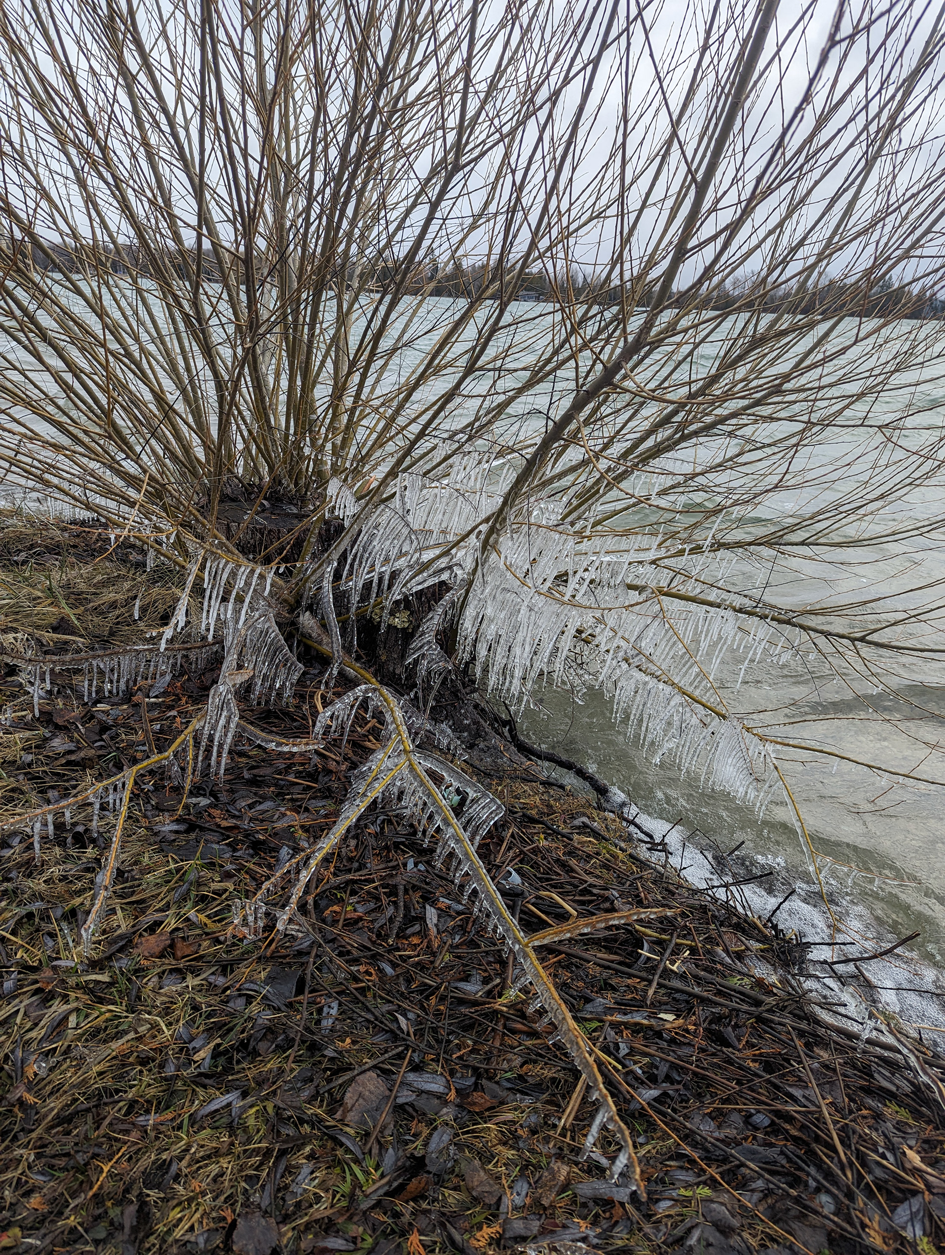 Ice Storm off the Bay