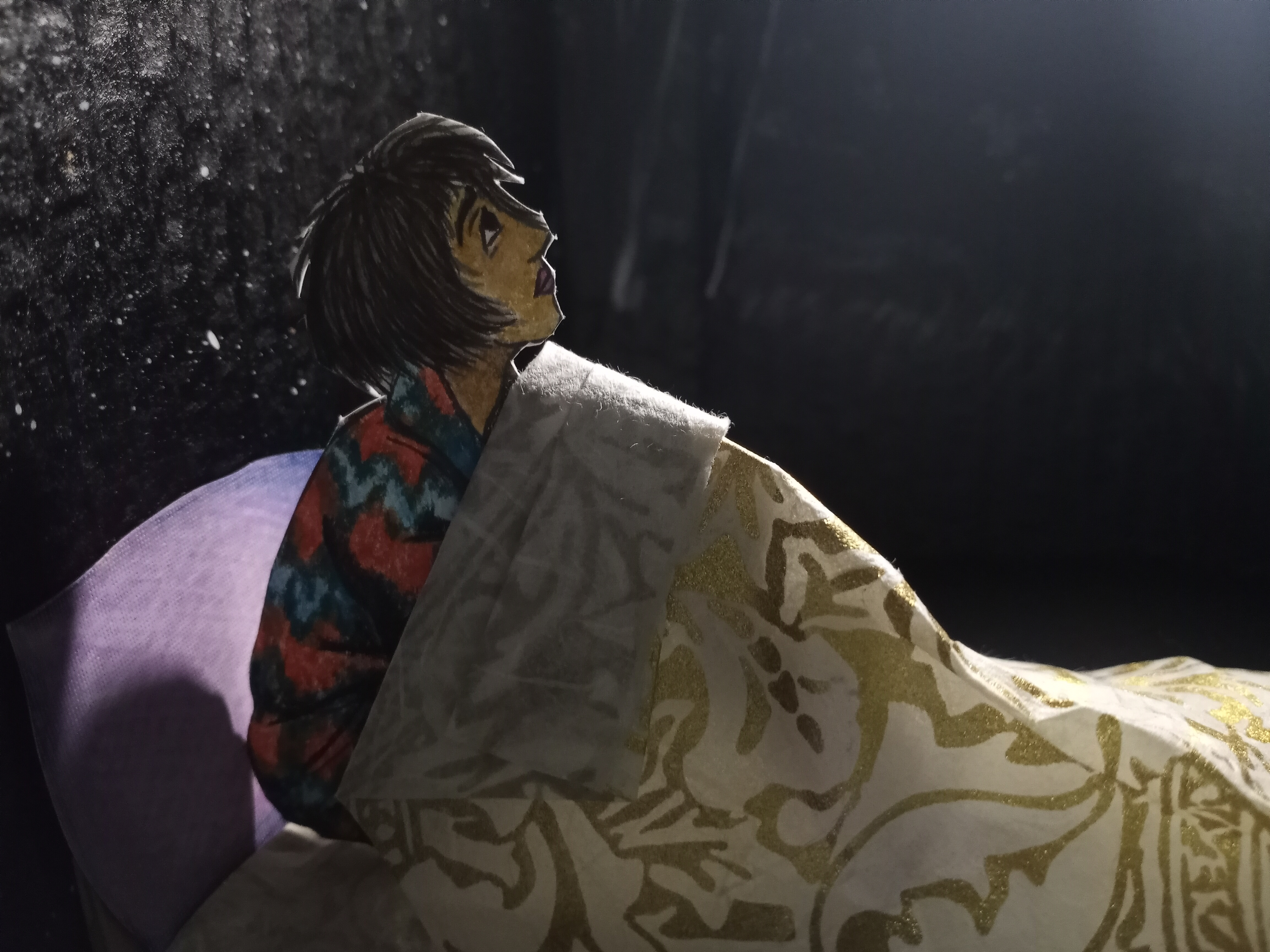 Flaca: "The Night Room".2024
