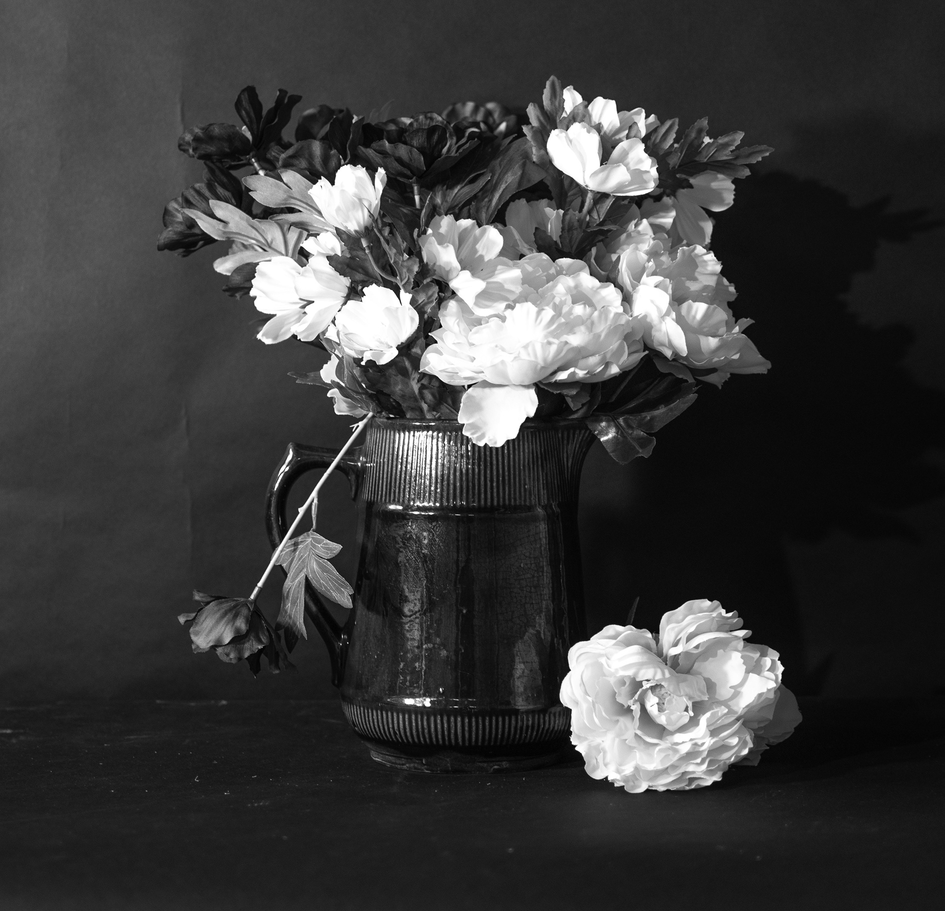 Still Life Peonies #1