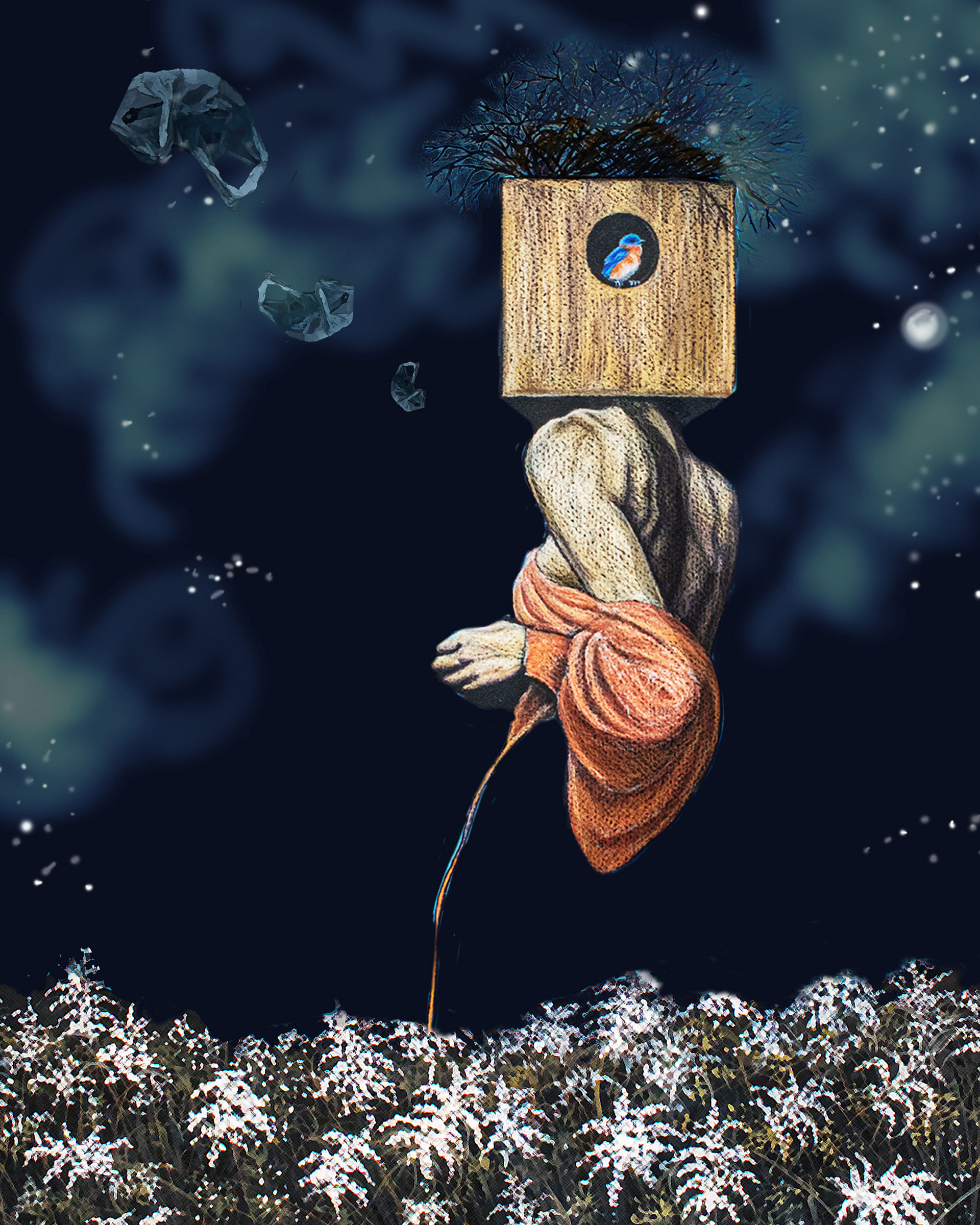 Dreamer