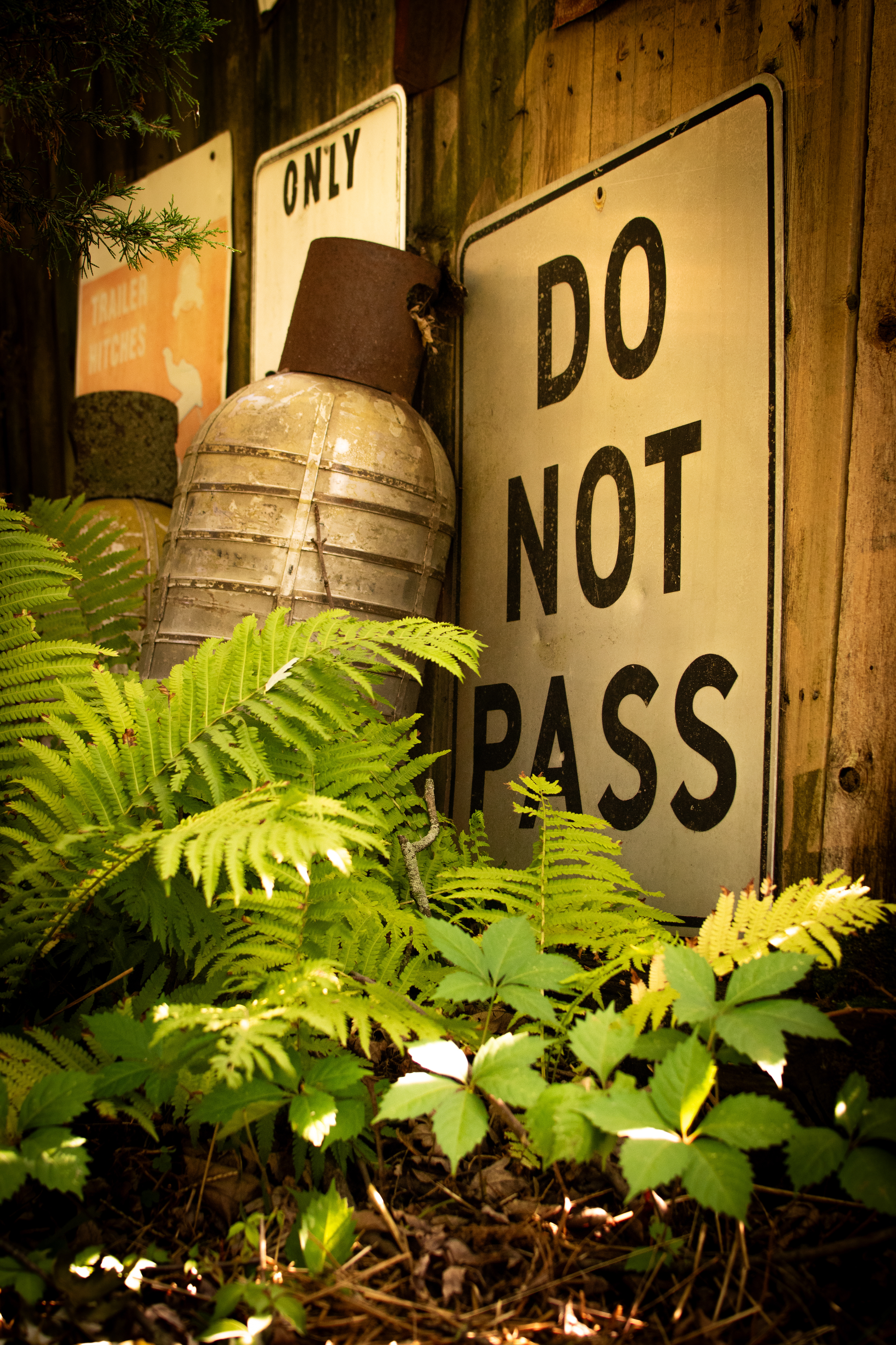 Do Not Pass