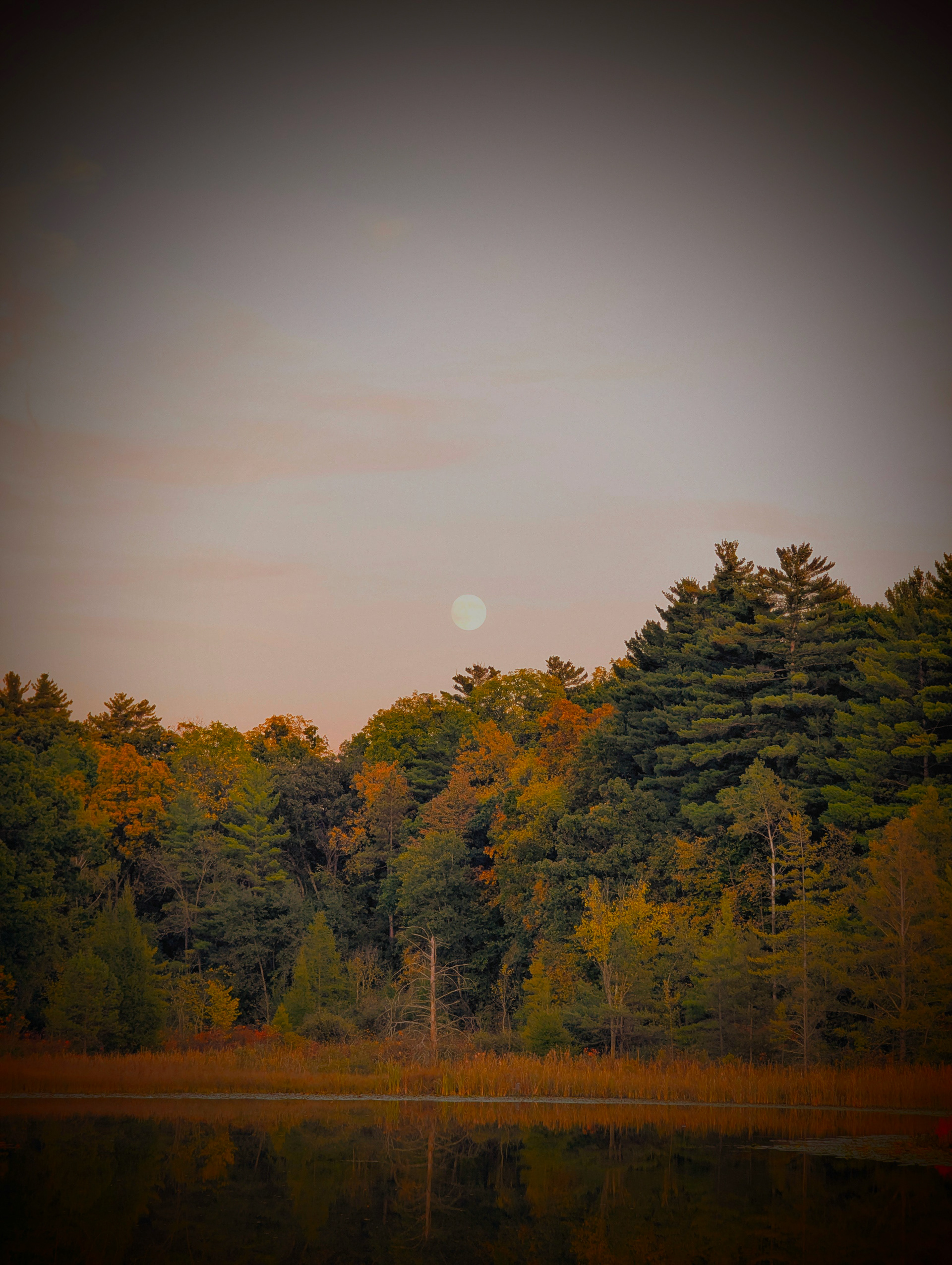 Autumn Moon