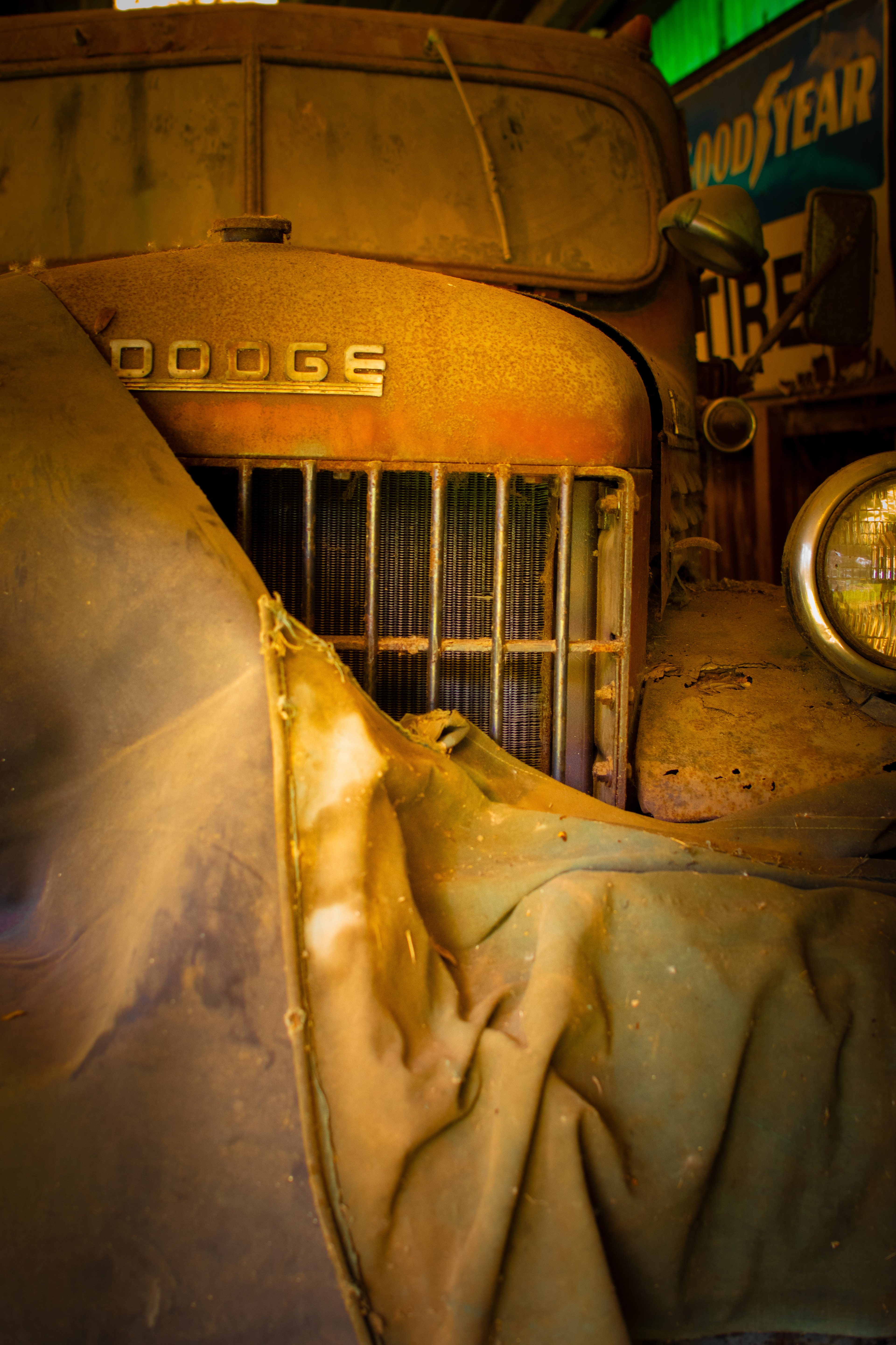 Dodge.3