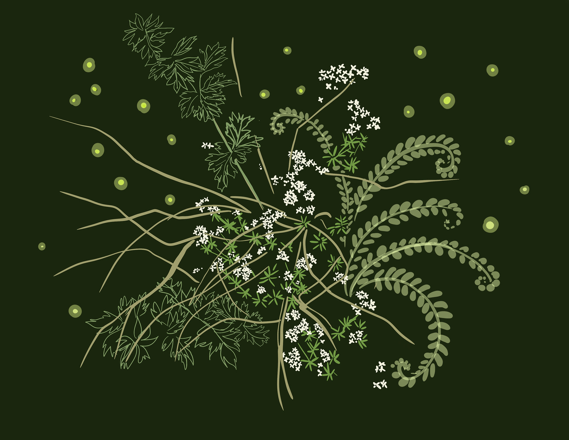 Fern forest