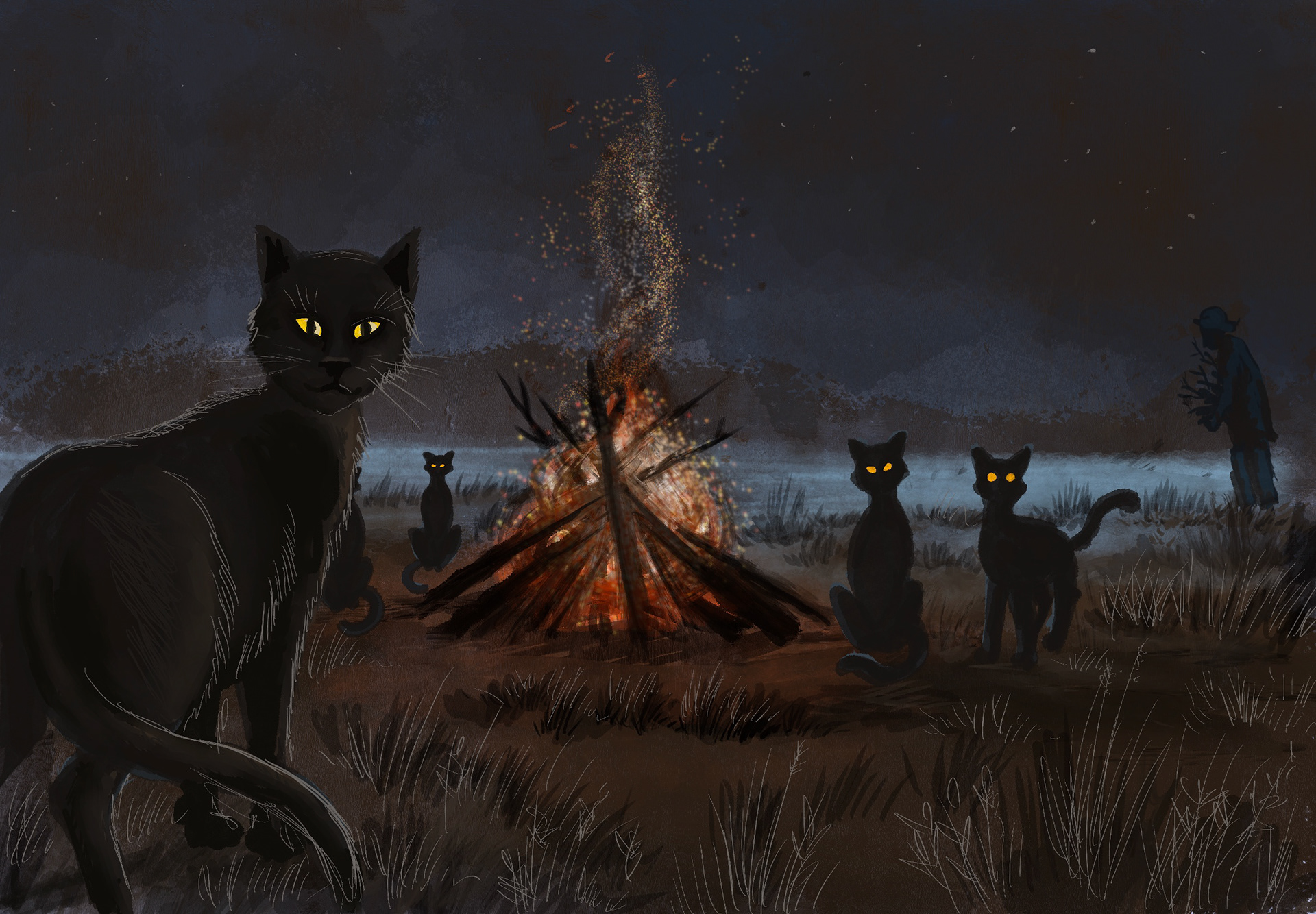 Meeting of the Black Cat Society