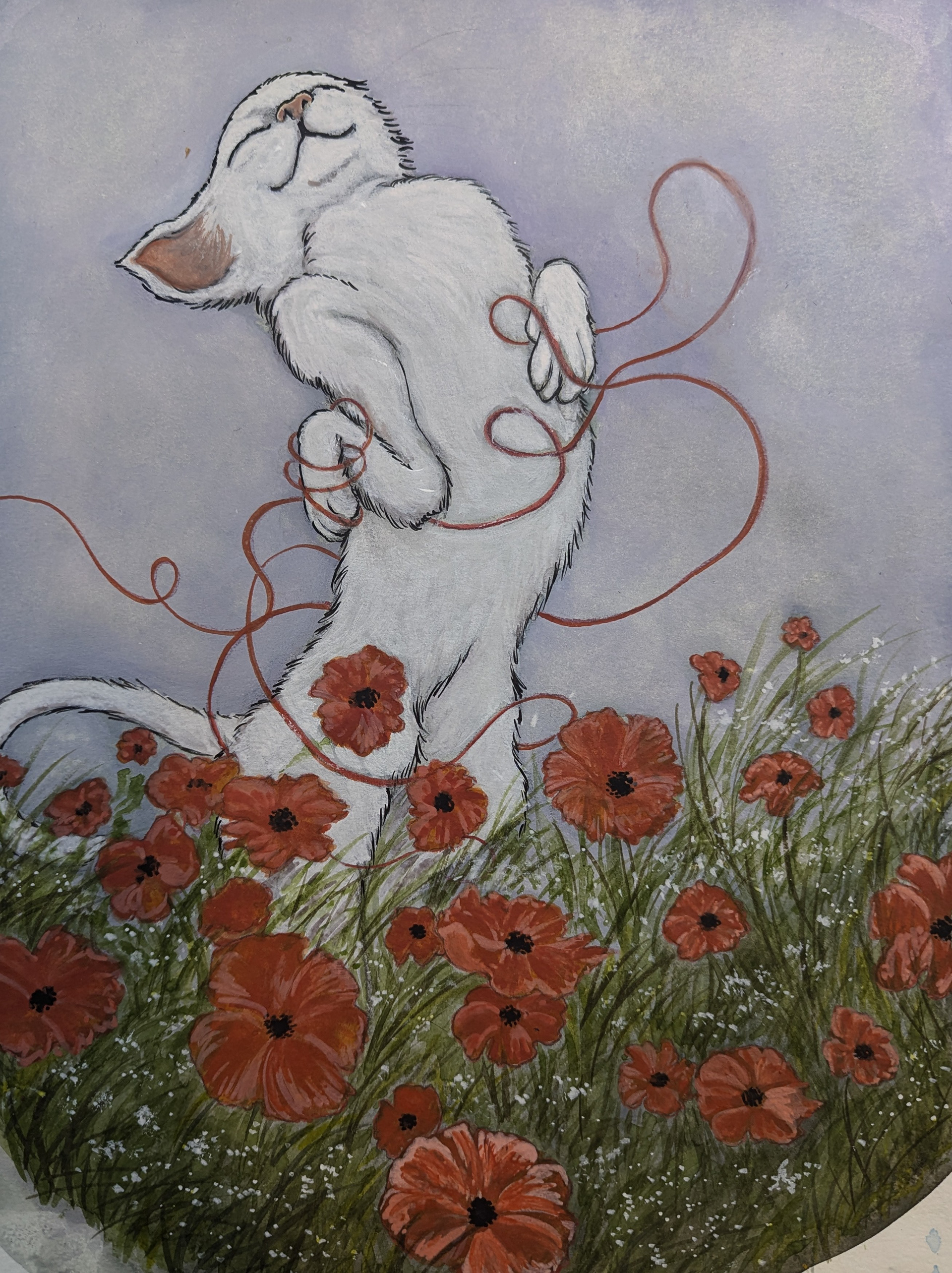 The Dream of Red String.2024