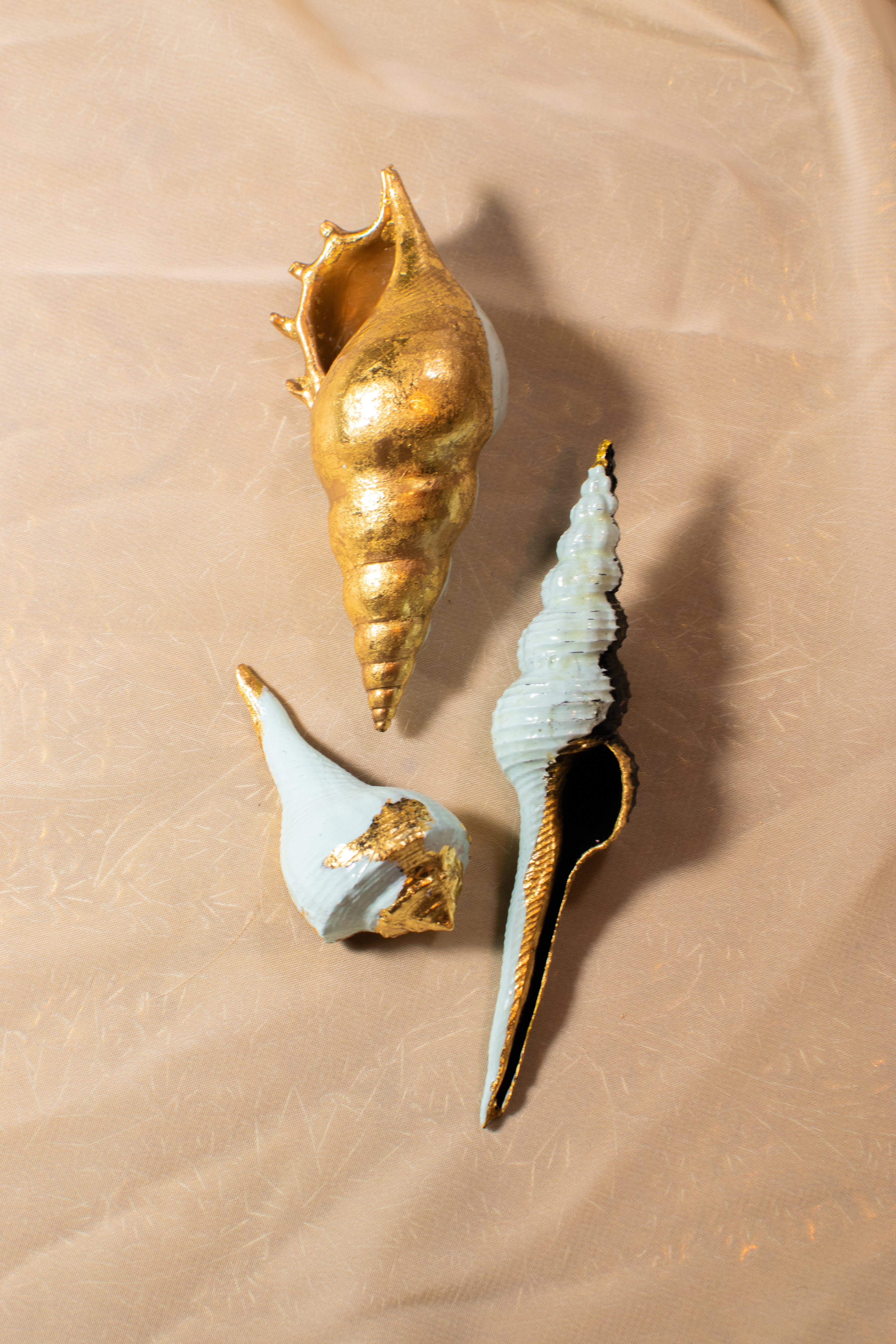 Shell in Gold Leaf.2