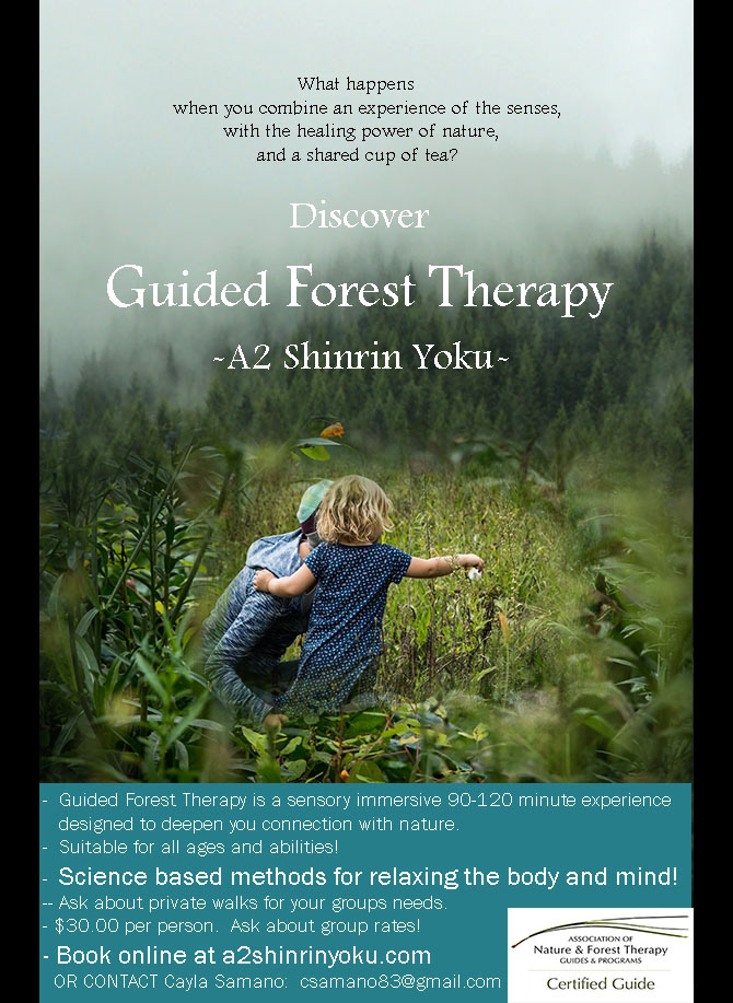 AzShinrinyoku.2 Advert