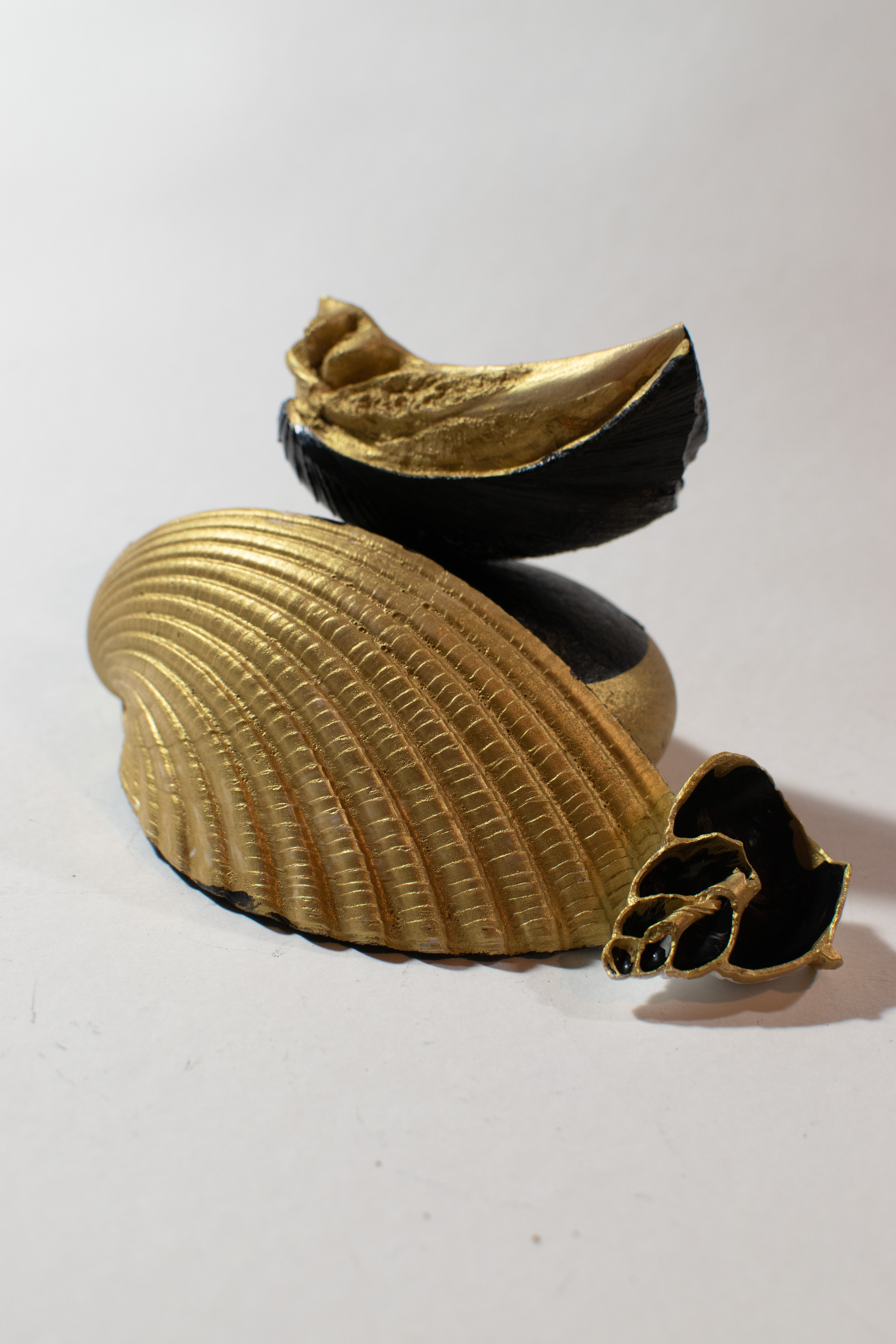 Shell fragment, black and Gold