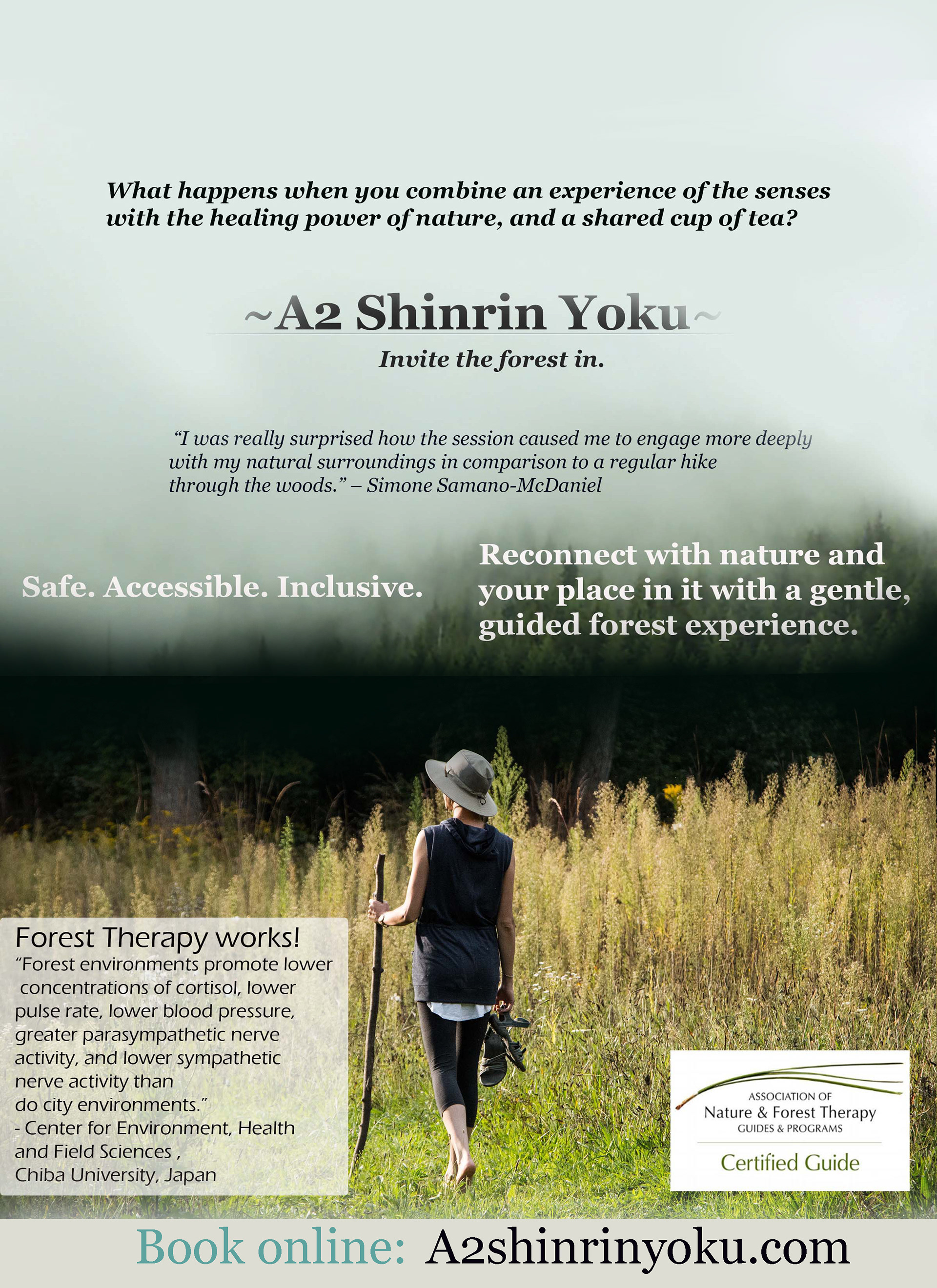 F.T.Flyer.2