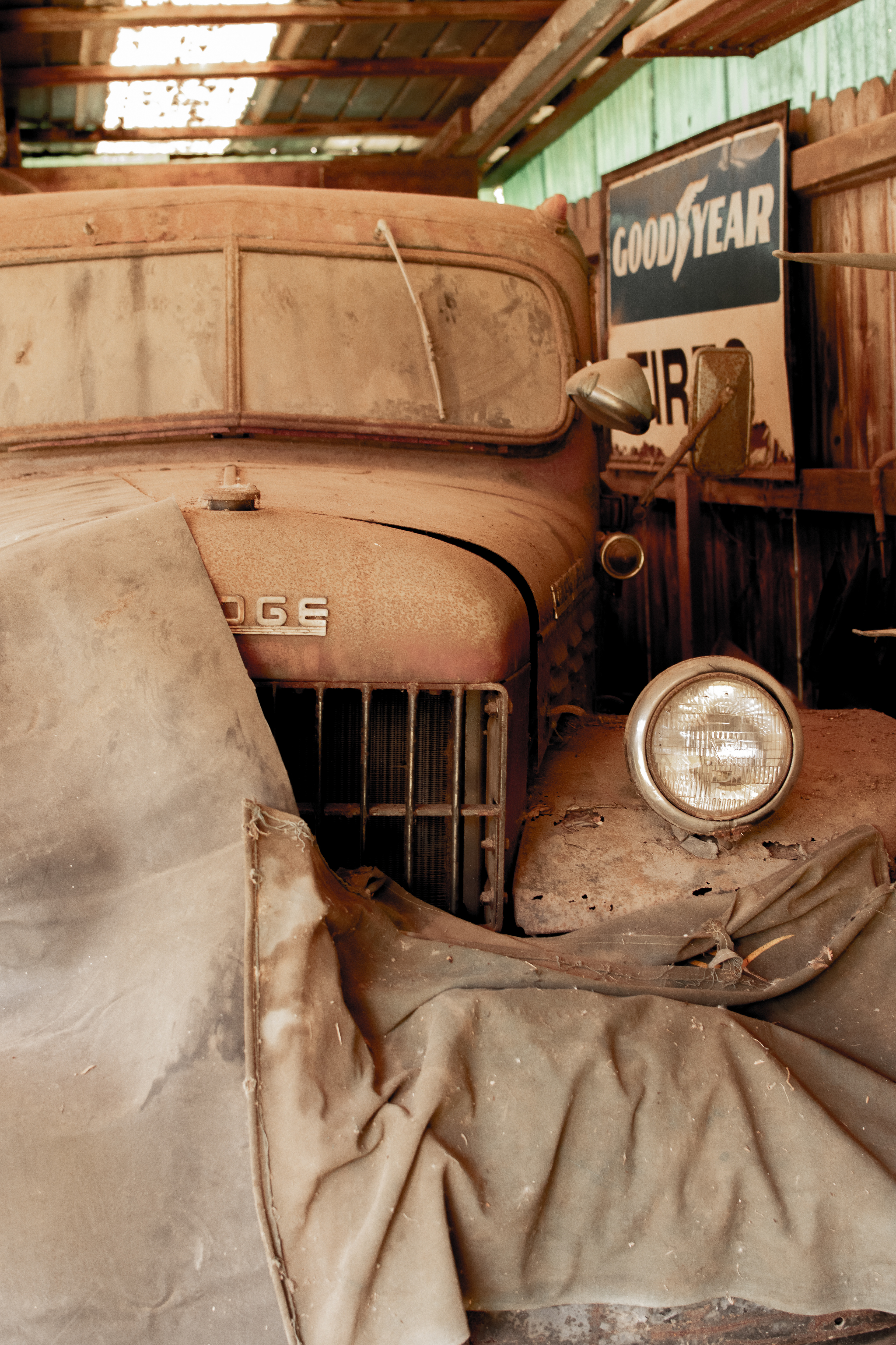 Dodge.2