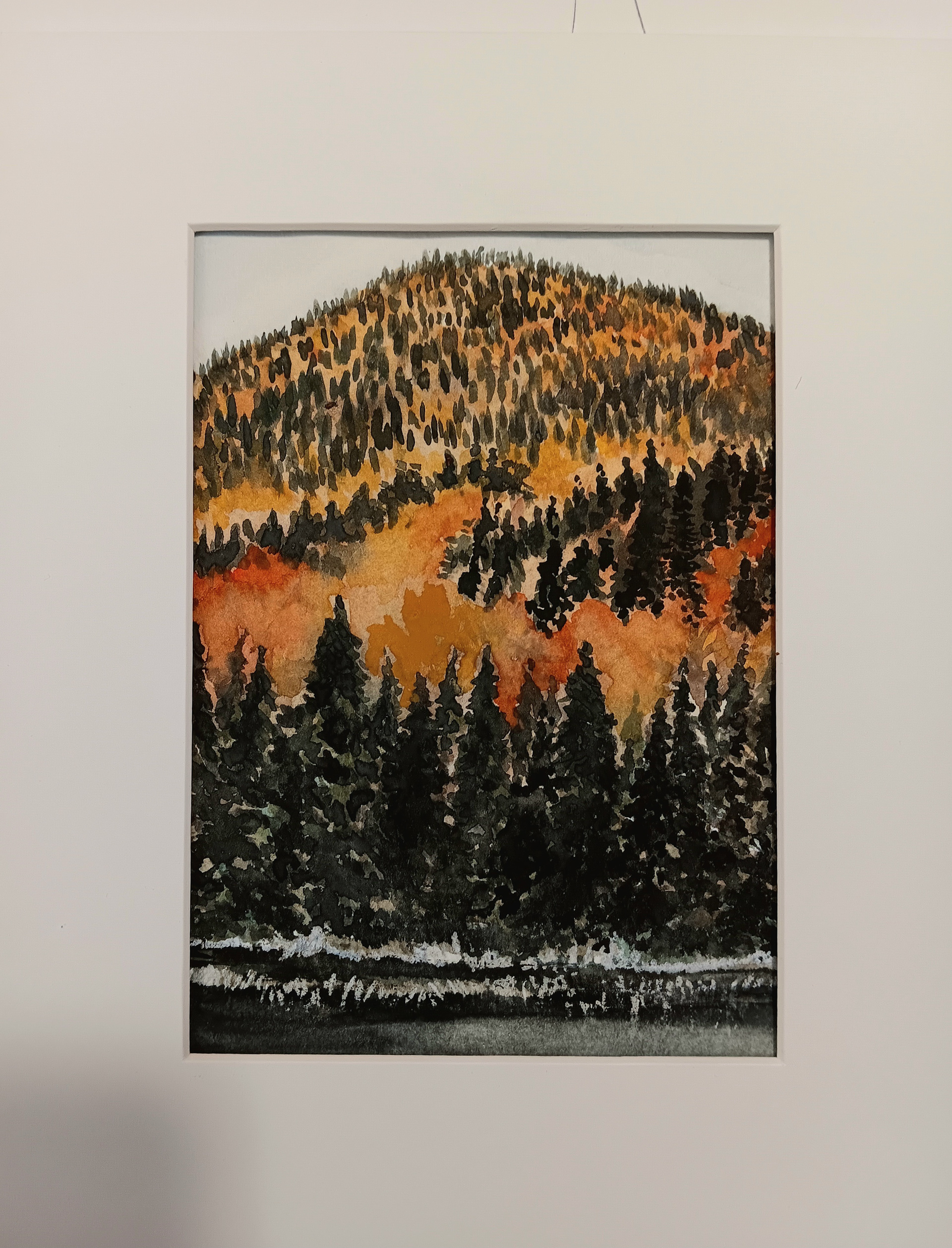 Northern Woods. 2019