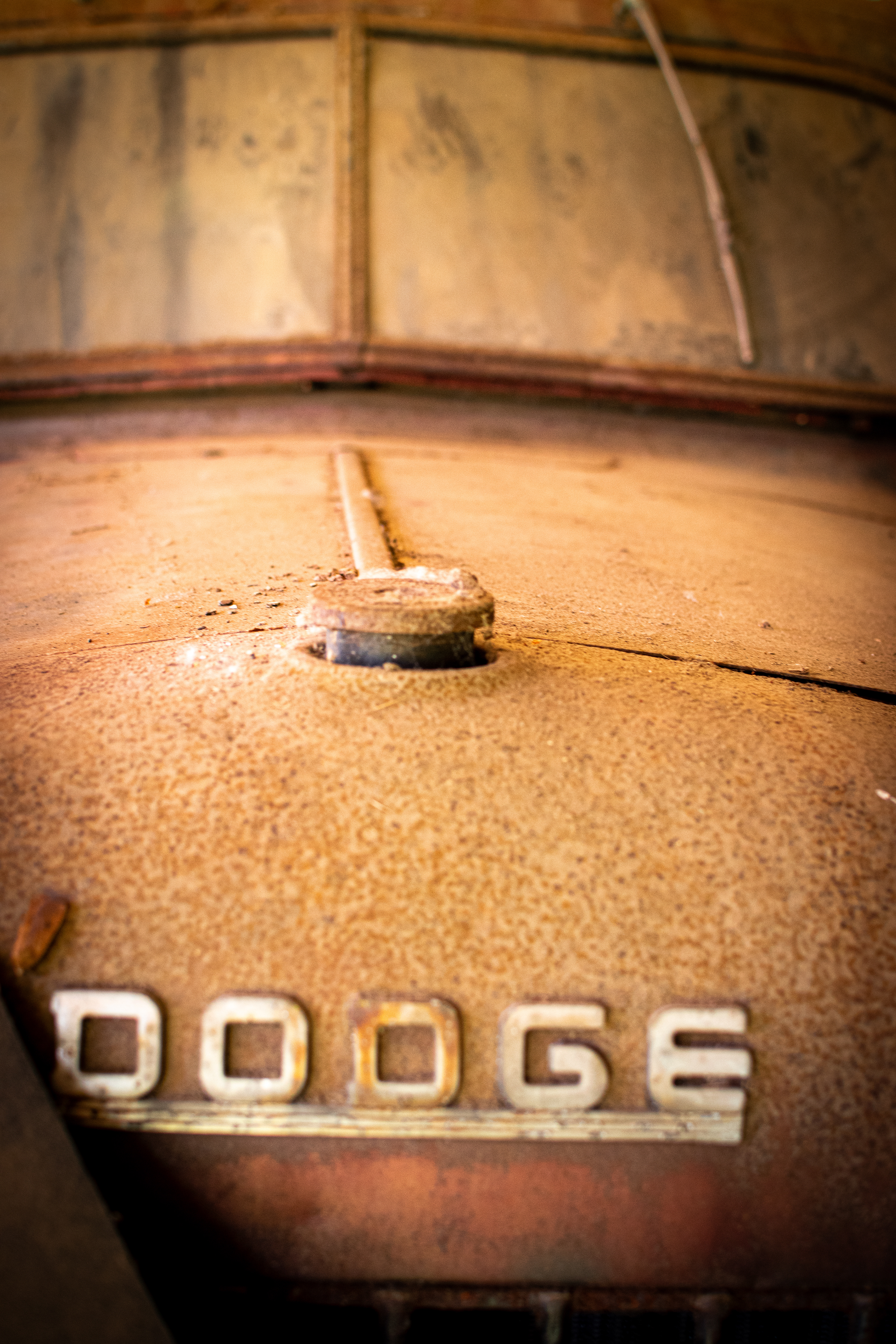 Dodge Hood