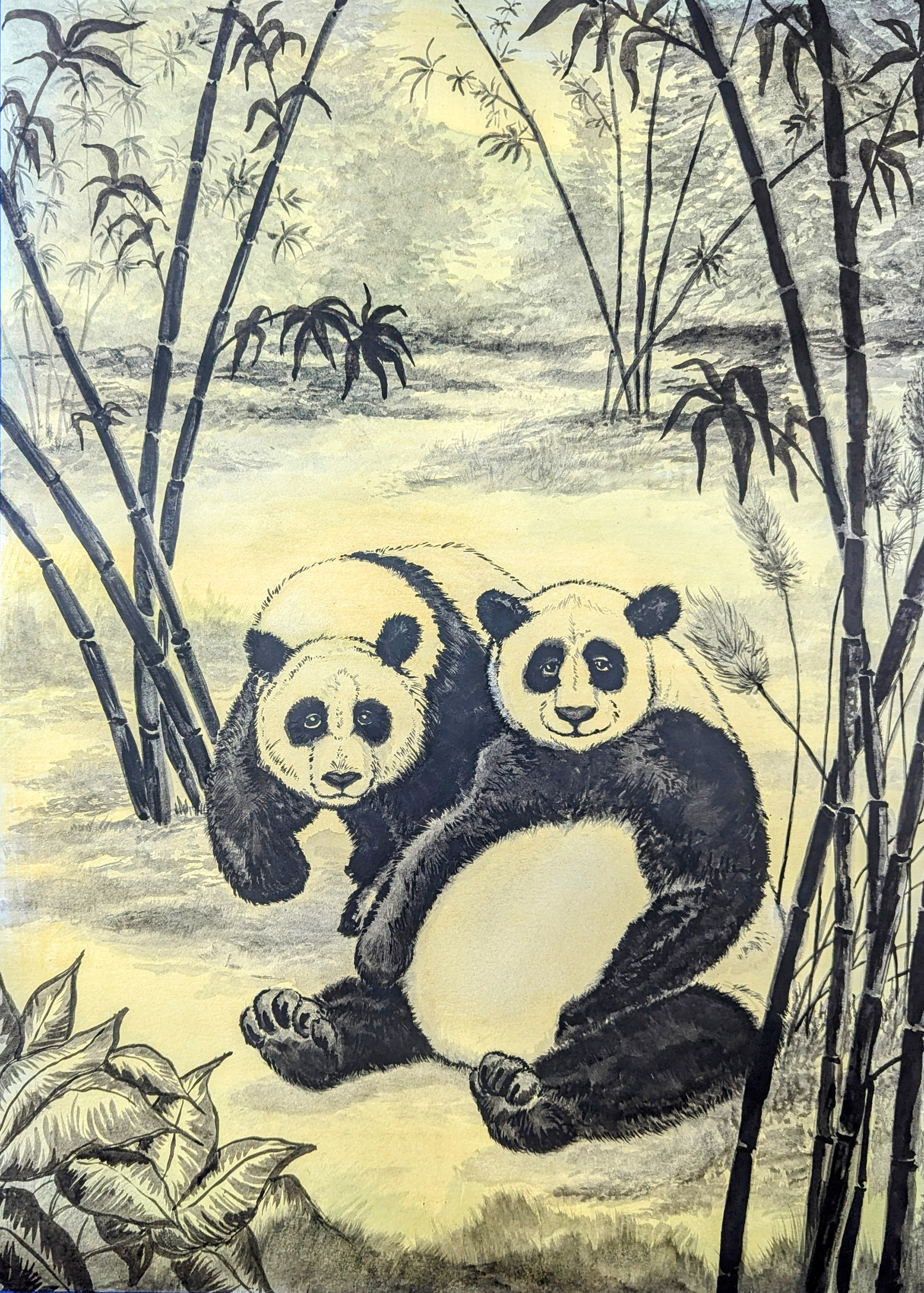 Pandas for Danielle. 2024