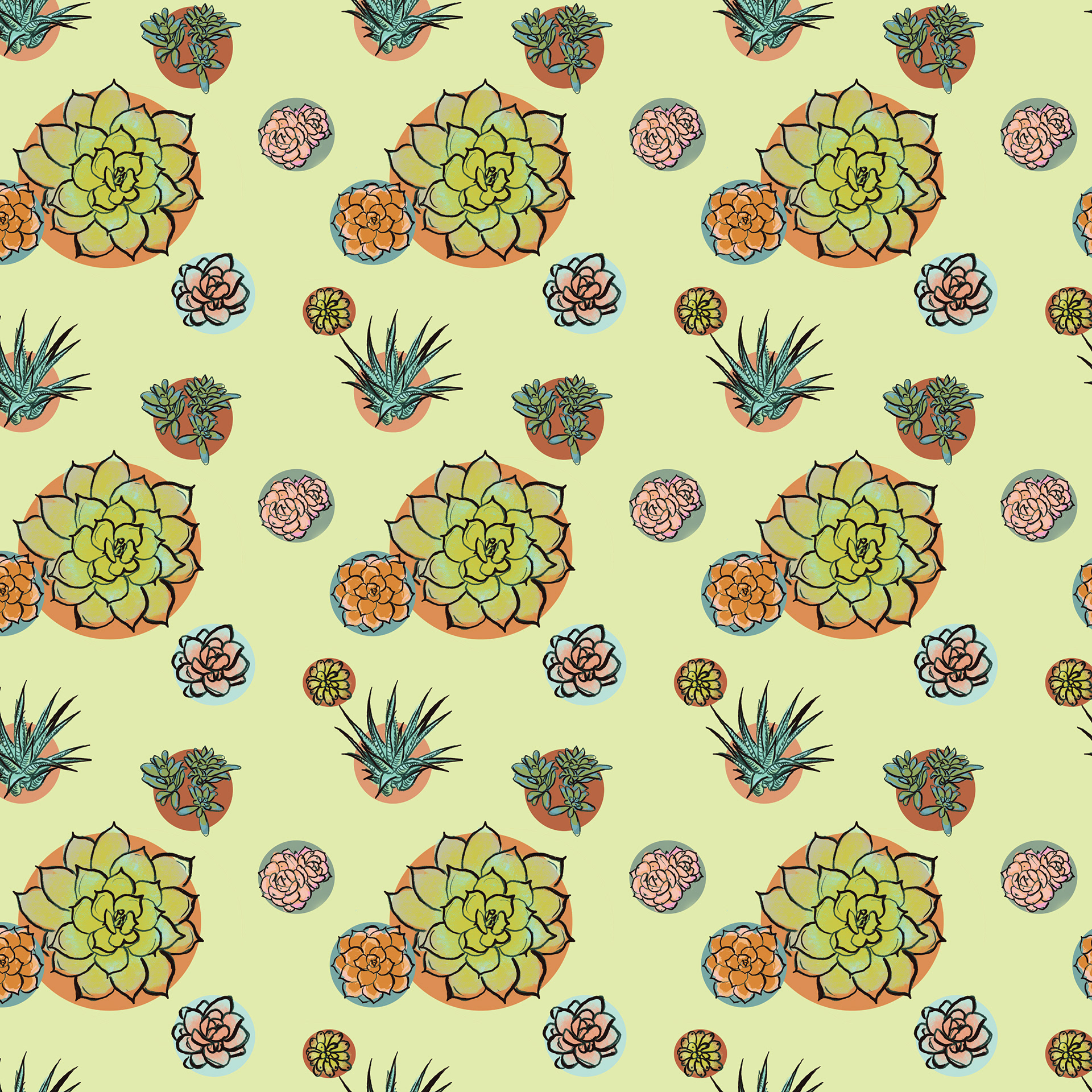 Cacti