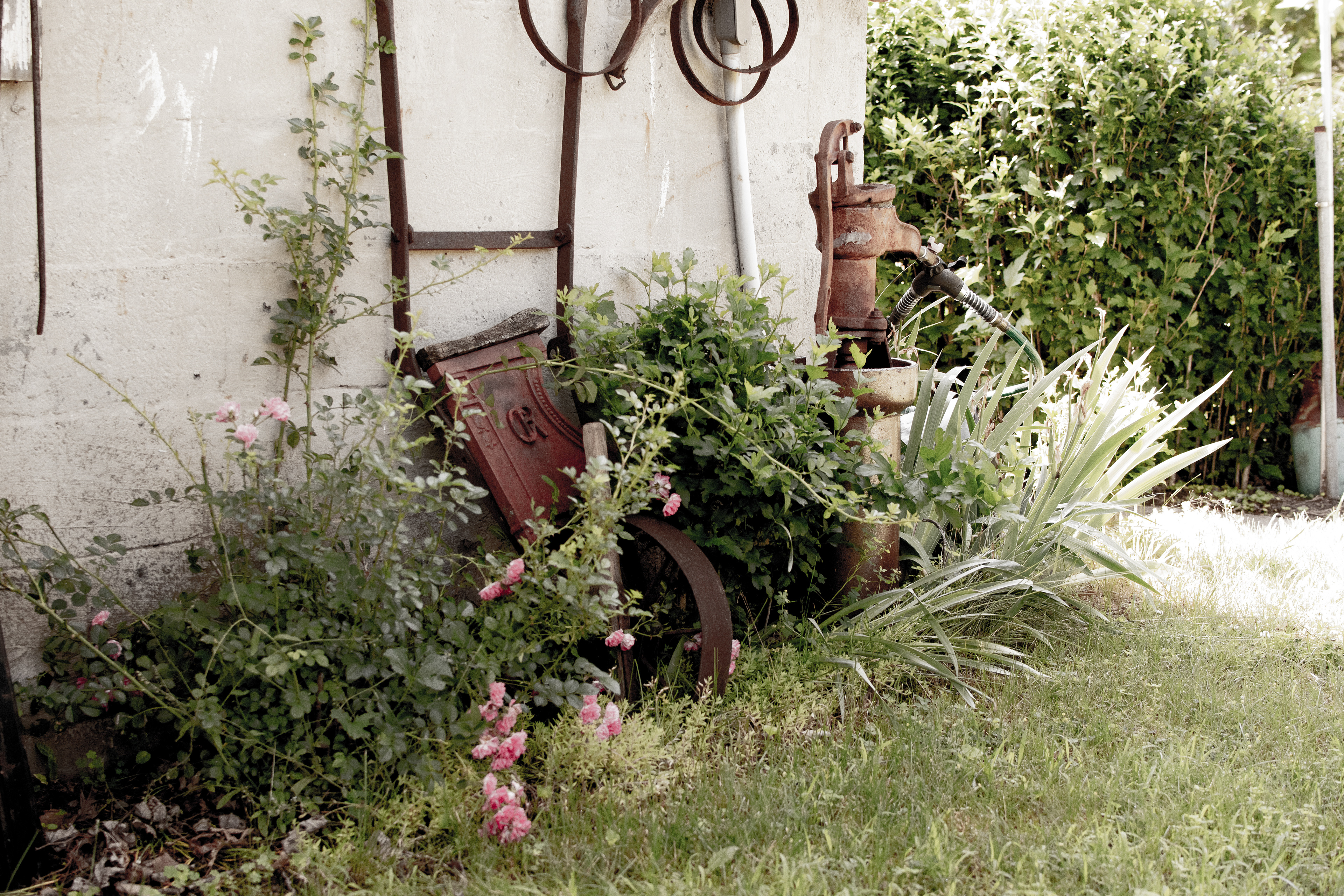 Rose Wheel.2