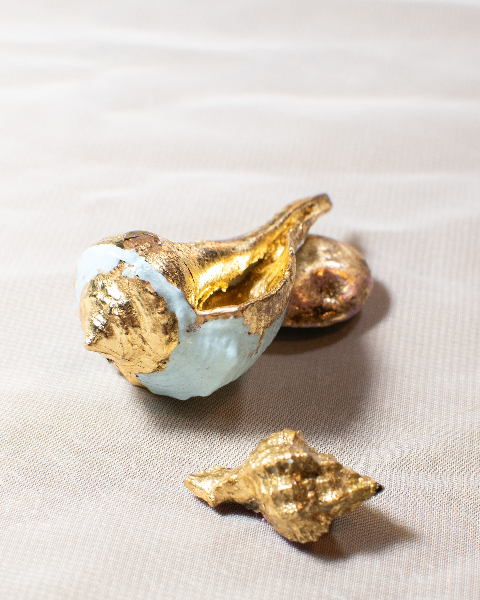 Shell in Gold Leaf.3